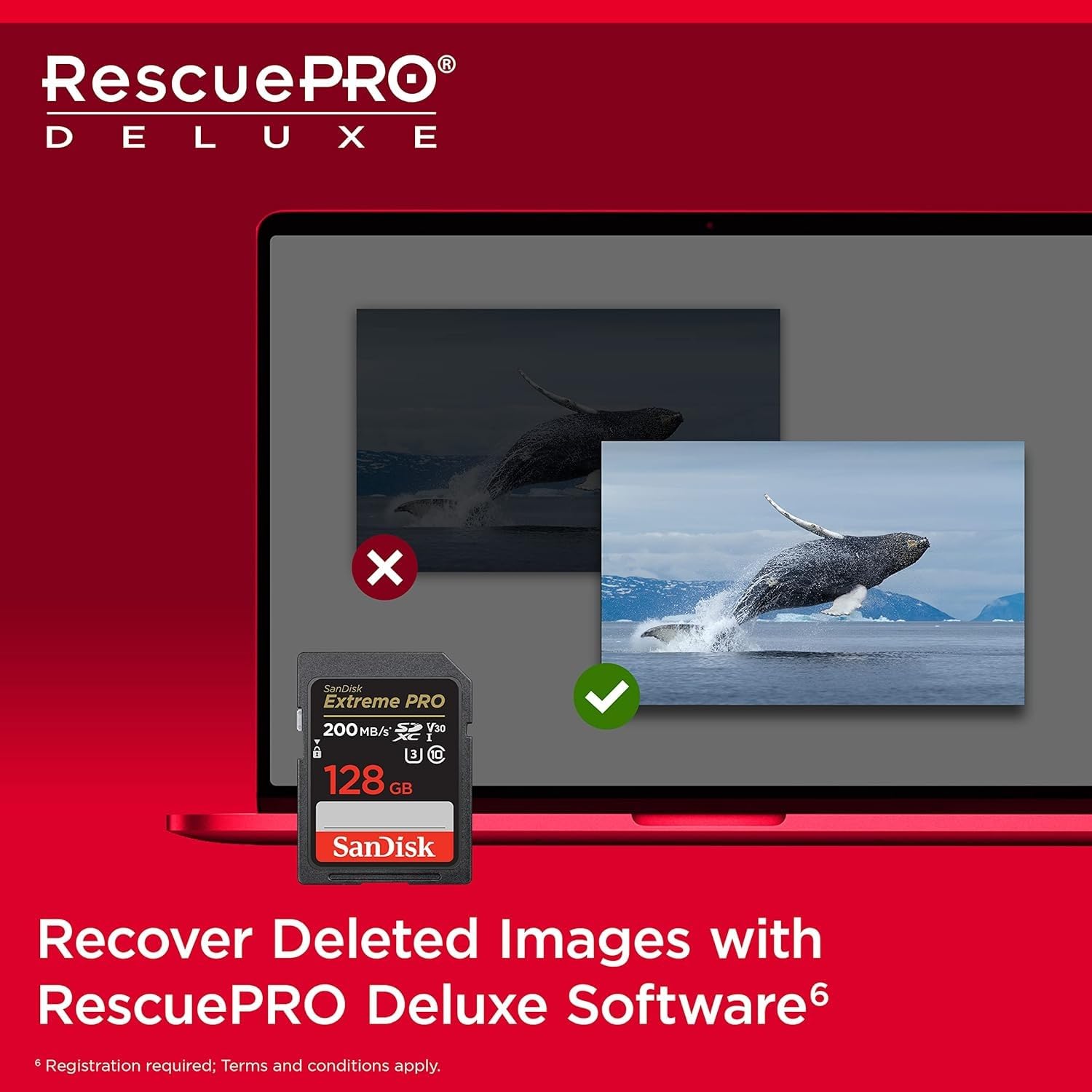 SanDisk Extreme PRO 128GB 2-Pack UHS-I U3 SDXC Memory Card + Green Extreme USB 3.0 Type-A and Type-C OTG Card Reader