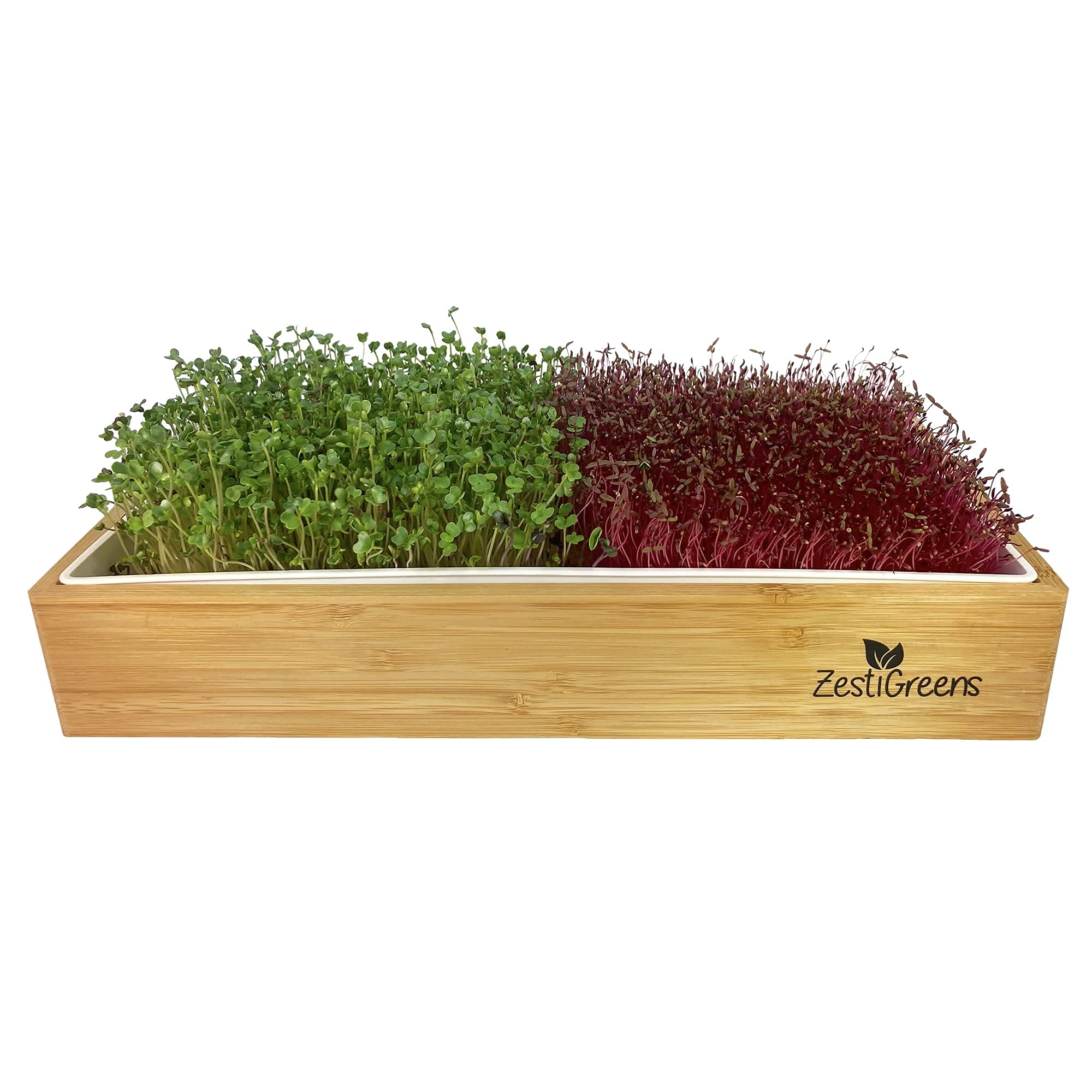 ZESTIGREENS Self Watering Microgreens Growing Kit. Hands Down The Easiest Way to Grow Microgreens. Includes Tray, Seeds, Mats, and Bamboo Surround. Great Gift for Gardeners