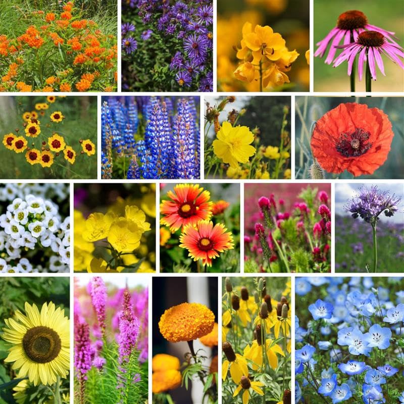 Bee-Friendly Wildflower Mix Seeds - 5 Lb - Non-GMO, Open Pollinated Flower Seed Blend to Attract Bees, Pollinators, and Butterflies - Suitable for Garden Beds, Containers, or Open Spaces