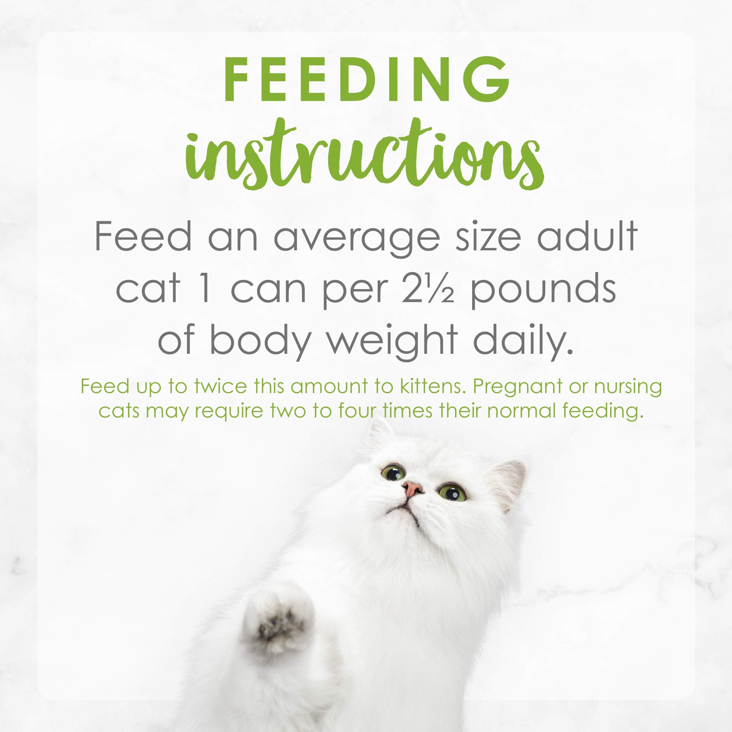 Purina Fancy Feast Grilled Wet Cat Food Salmon Feast in Wet Cat Food Gravy - (Pack of 24) 3 oz. Cans