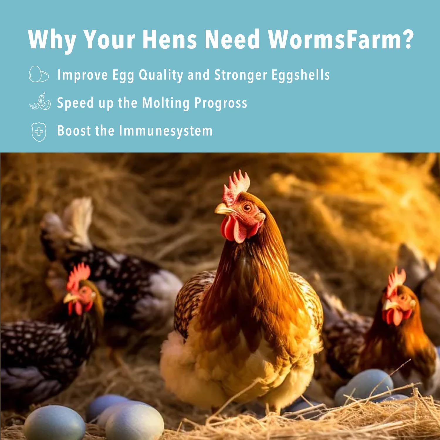 WormsFarm 5lb Dried Black Soldier Fly Larvae for Chickens More Calcium Than Mealworms for WildBirds(5 Pound)