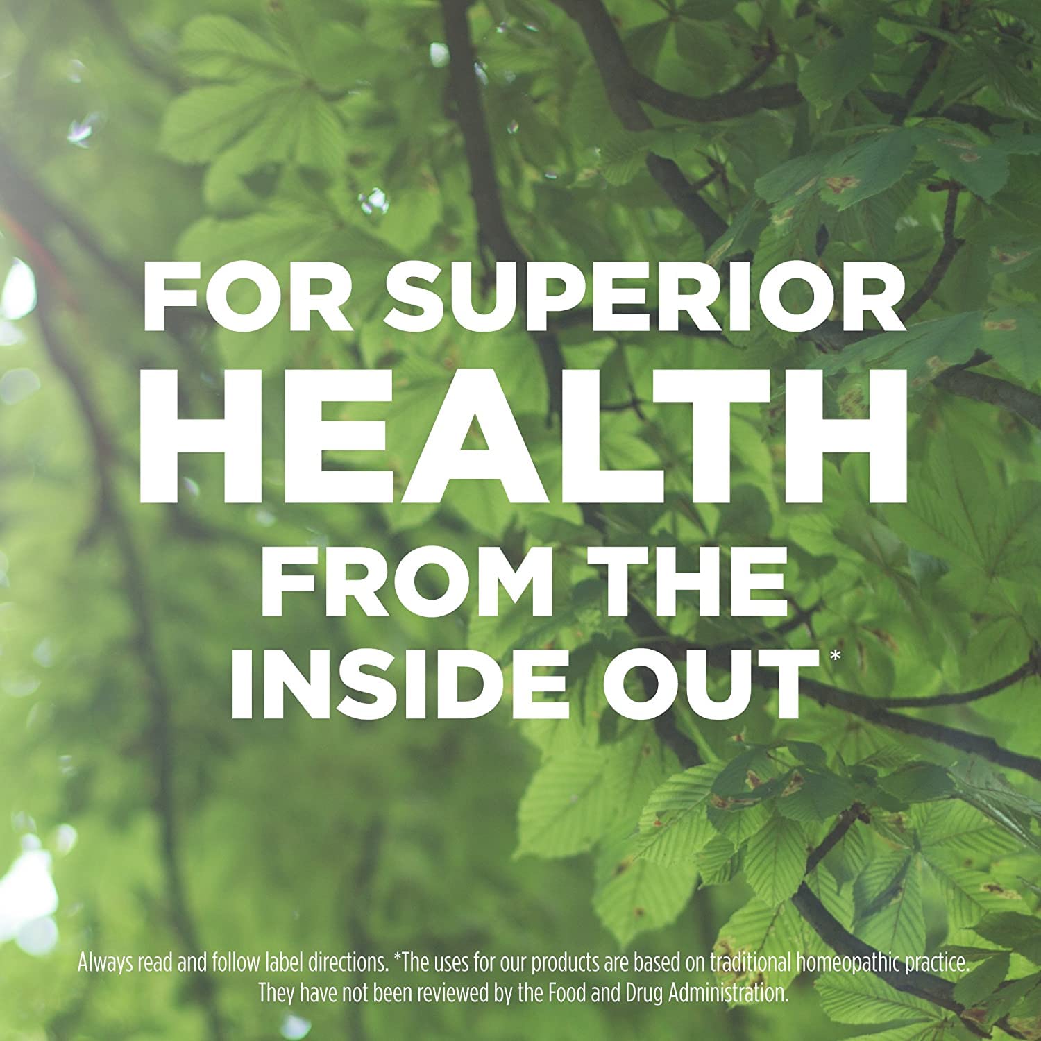 Hyland's No. 11 Cell Salt Nat Sulph 6X Tablets, Cold and Flu Medicine, Nausea Relief, Quick Dissolving Tablets, 100 Count