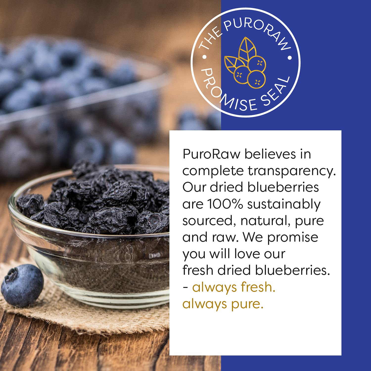 PuroRaw Dried Blueberries No Sugar Added, 2 lbs. Blue Berries Fruit, Dehydrated Blueberries Fresh Dried Blueberries Bulk, Blueberry Raisins. All Natural, Non-GMO, Batch Tested, 2 pounds