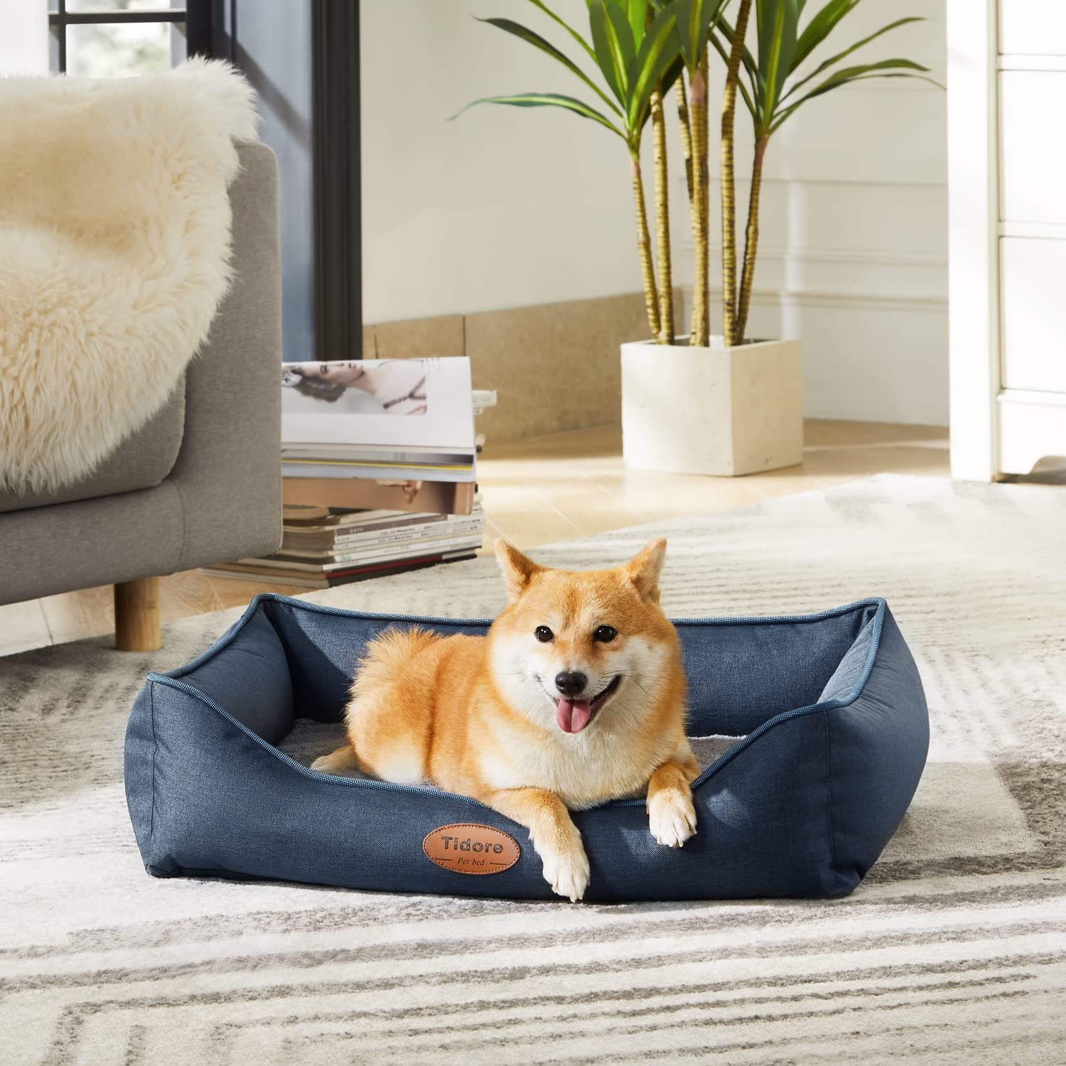 Tidore Orthopedic Dog Beds for Small Dogs, Durable Egg Crate Foam Sofa Dog Bed wit Washable Removable Cover,Waterproof Lining and Nonskid Bottom,Pet Bed for Medium Dogs (Navy Blue, Medium)