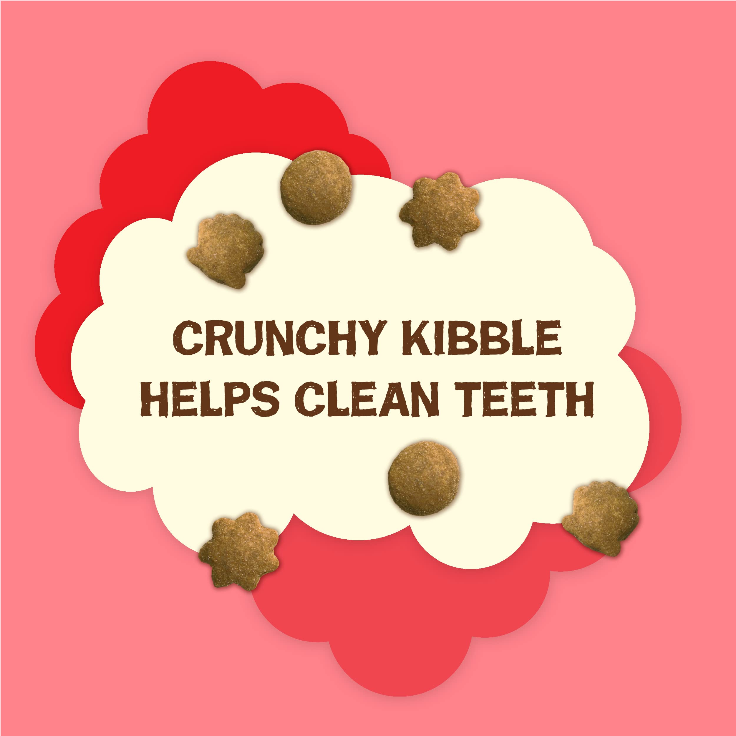 Purina Friskies Natural Cat Treats Party Mix Natural Yums With Real Salmon and Added Vitamins, Minerals and Nutrients - 20 Oz. Canister