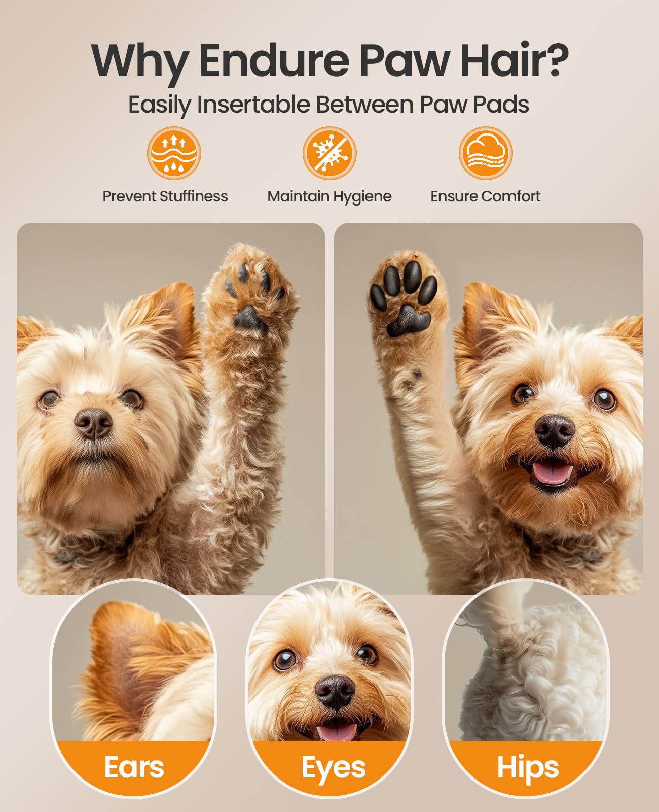 oneisall Dog Clippers for Grooming and Paw Trimmer, Dog Clippers with Small Blades Low Noise Rechargeable Cordless Dog Hair Clippers Dog Grooming Kit for Thick Heavy Coats, DTJ 002