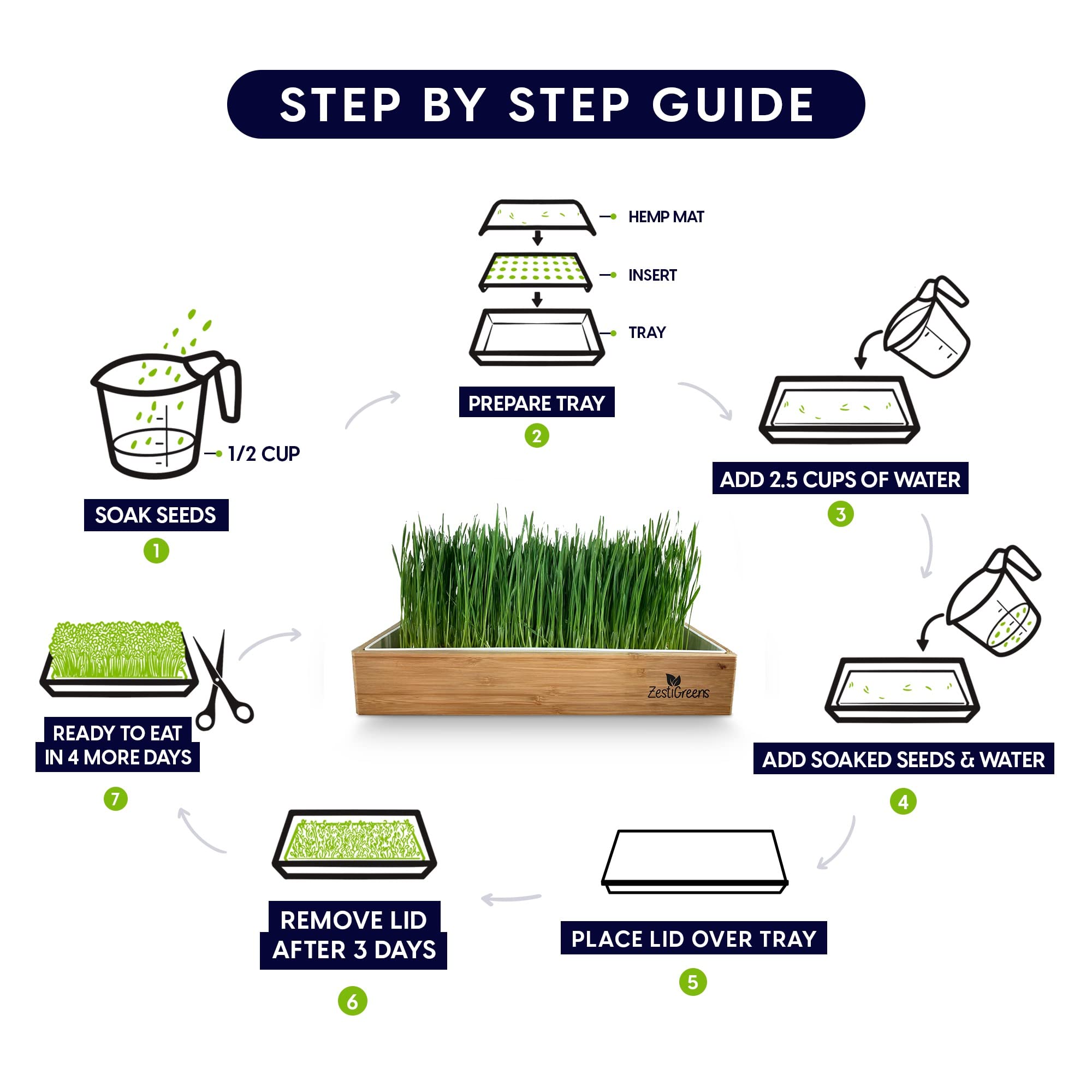 Self-Watering Cat Grass Kit. Hands Down The Easiest Way to Grow Cat Grass. Includes Everything for a Big, Healthy Crop.