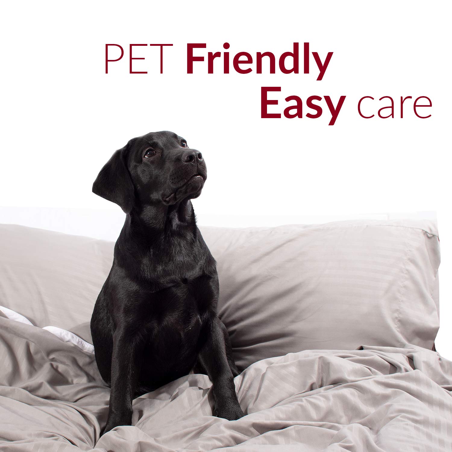 12 Pack of Mellanni Extra Deep Pocket Twin Sheet Set (Twin, Spa Mint)