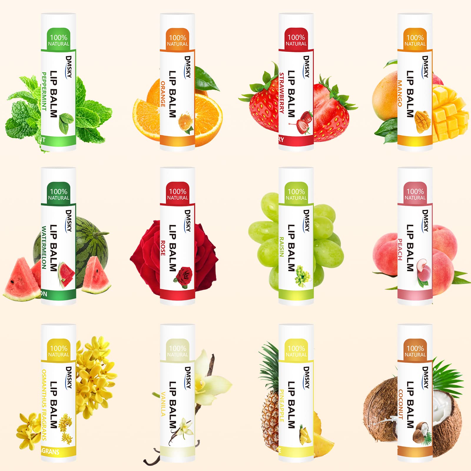 DMSKY 24 Pack Lip Balm, Natural Lip Balm Bulk with Vitamin E and Coconut Oil, Moisturizing Lip Balm for Chapped Lips, Bulk Lip Balm for Women-12 Flavors