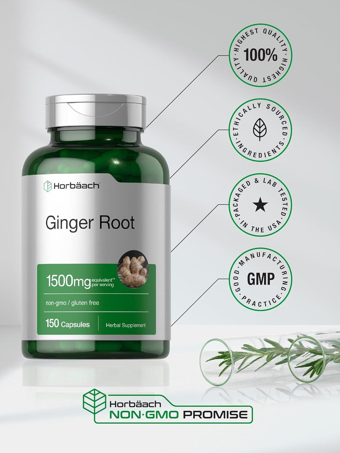 Ginger Root Capsules 1500 mg | 150 Pills | DNA Tested, Non-GMO, Gluten Free | Ginger Root Extract | by Horbaach