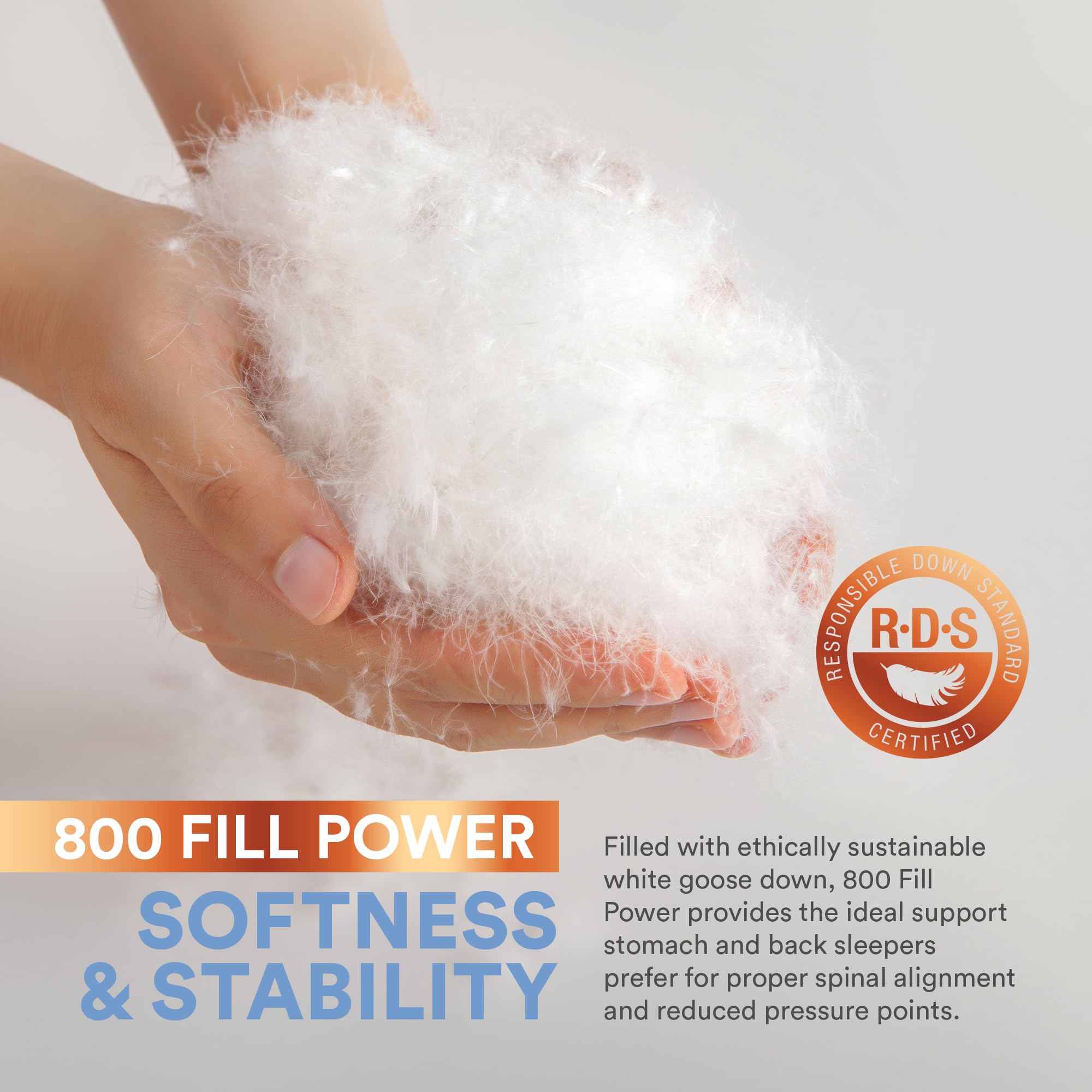 Continental Bedding 100% Siberian Goose Down Pillow 800 Fill Power, Medium, Queen, White