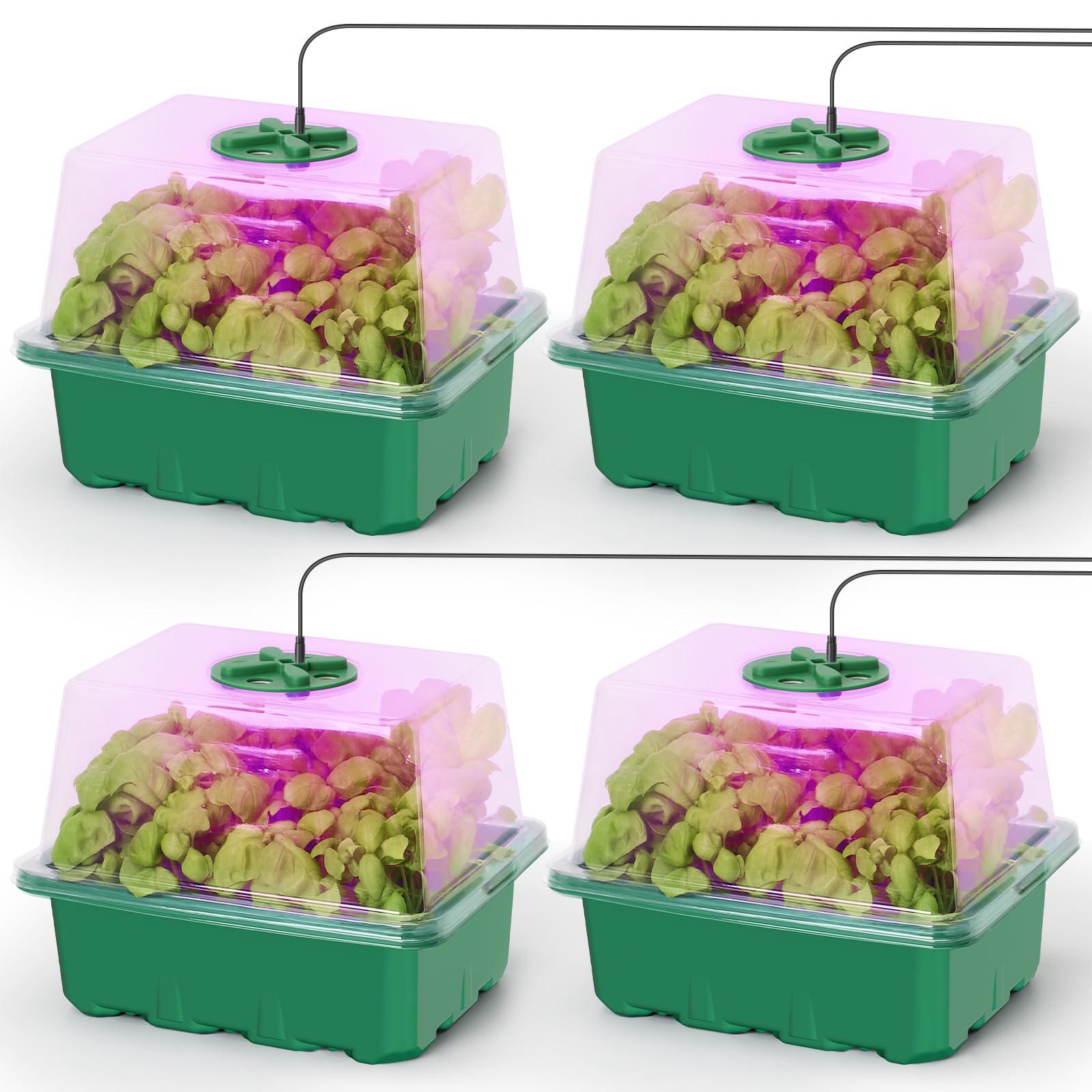 MIXC Seed Starter Kit with Grow Light, Seedling Trays Mini Propagator Plant Grow Kit with Humidity Vented Domes and Base for Seeds Starting Greenhouse