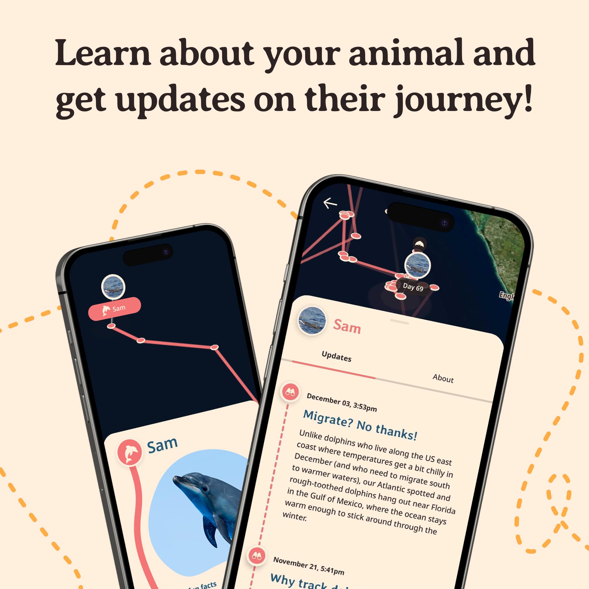 Fahlo Dolphin Tracking Bracelet, Elastic, supports FIU Marine Conservation, one size fits most for Men and Women (Seafoam)