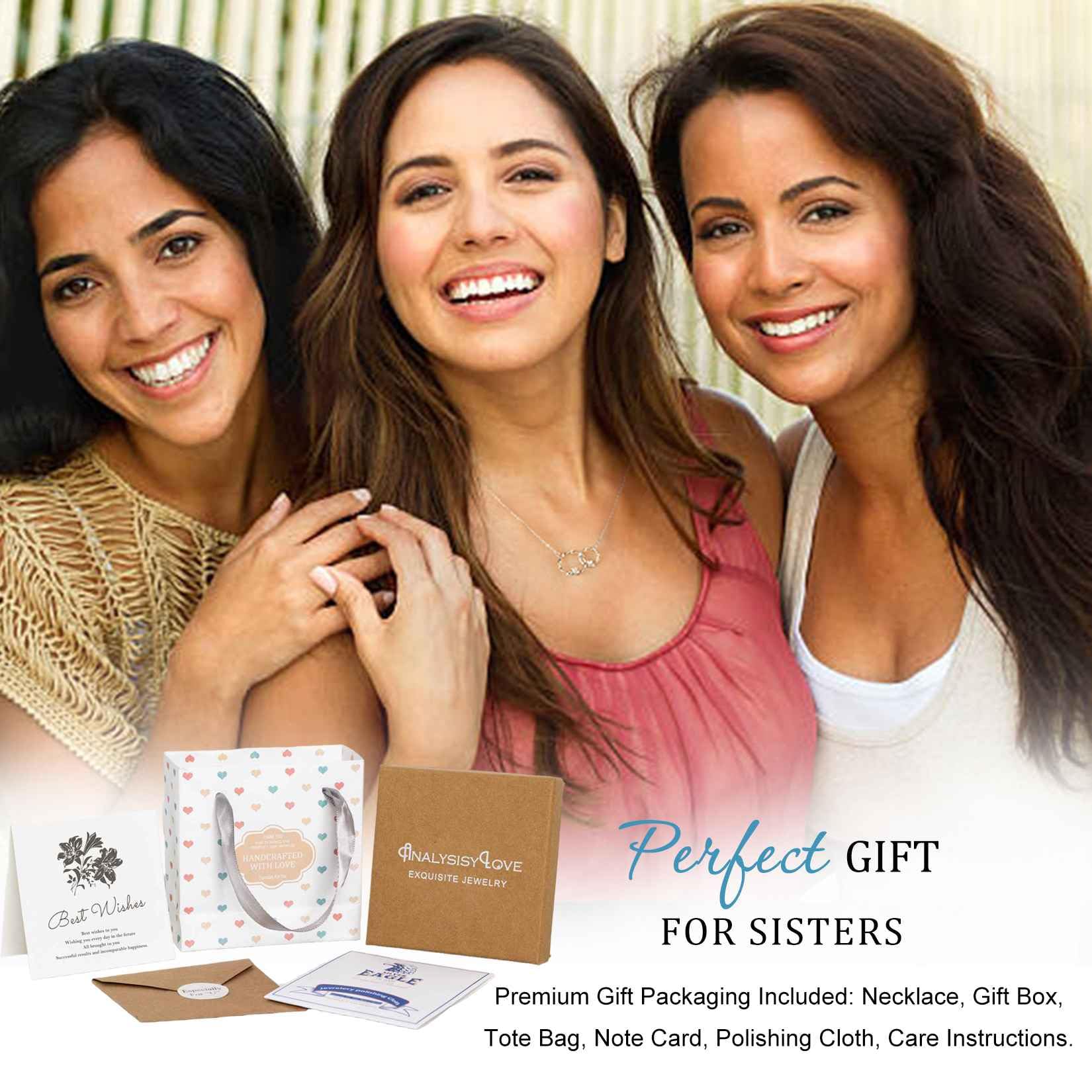 AnalysisyLove Sister Gifts, Sterling Silver Interlocking 2 Circles Necklace Gifts for Sisters, Big Sister Little Sister Gift, Sister Birthday Gifts from Sister