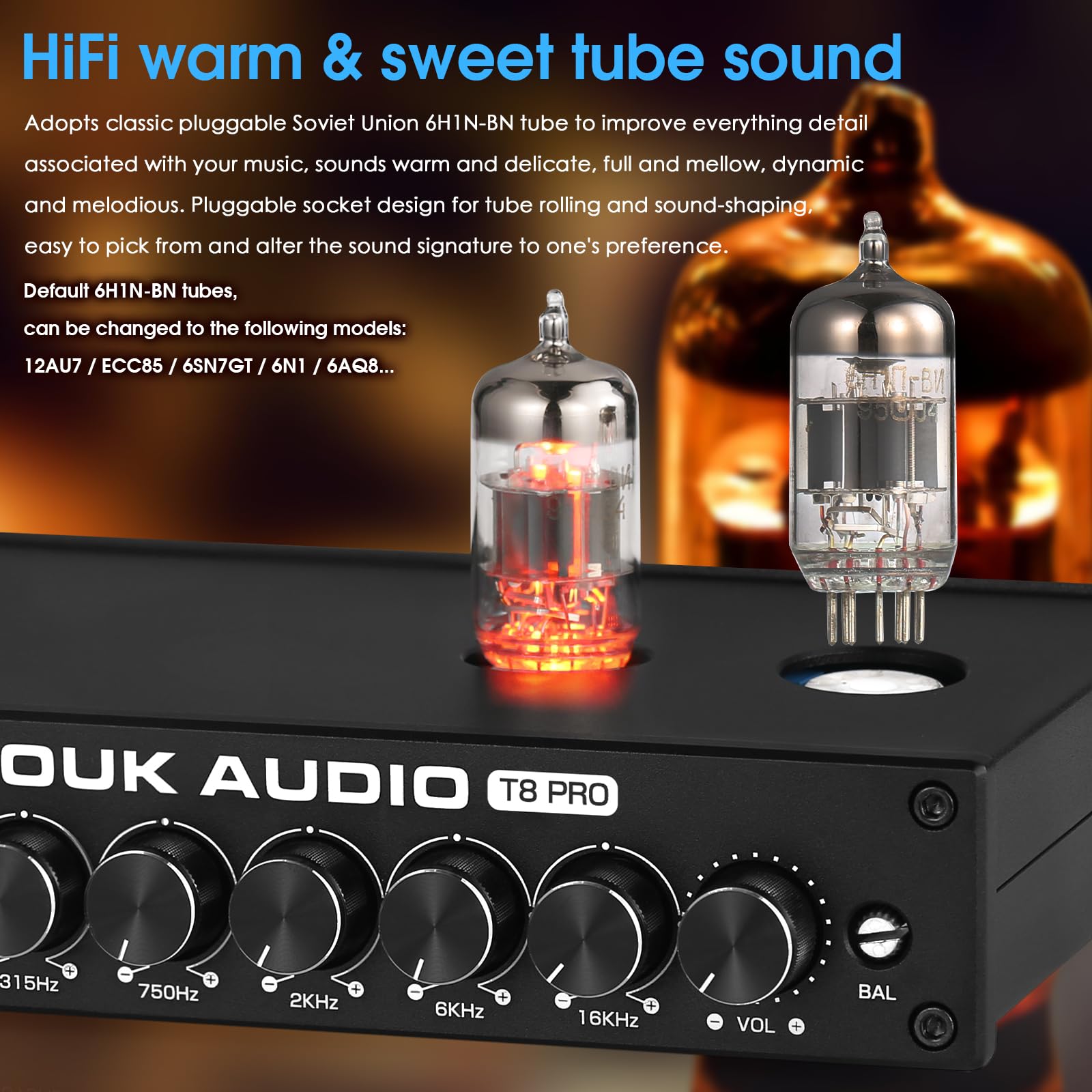 Douk Audio HiFi Vacuum Tube 7-Band EQ Preamp Equalizer XLR Pre-Amplifier Home (T8 PRO)