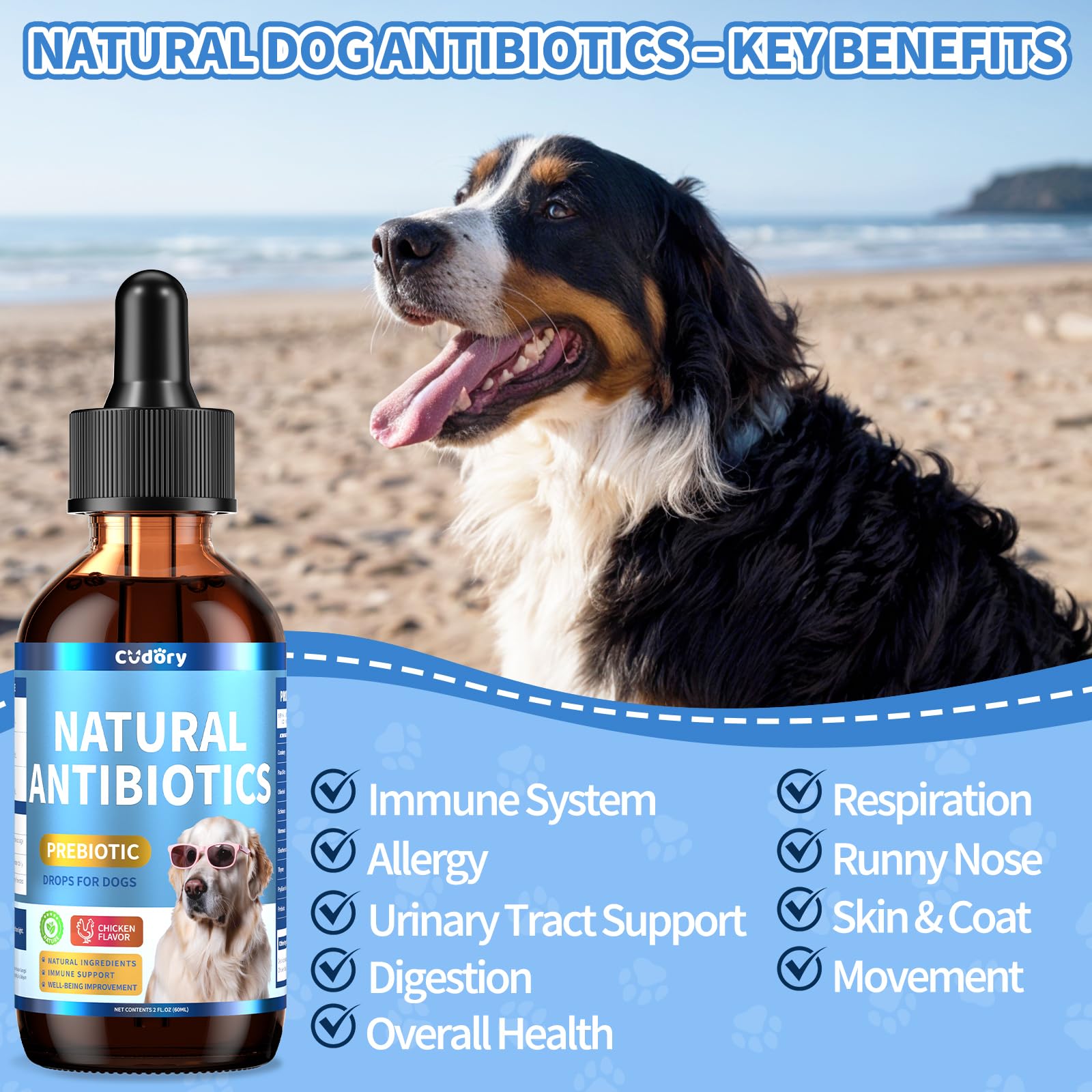 Digestive & Gut Support for Cats and Dogs - Cat Probiotics Soft Chews + Herbal Dog Antibiotics Supplement- Healthy Skin, Coat, Gut Support for Cat or Dog Supplements & Prebiotics