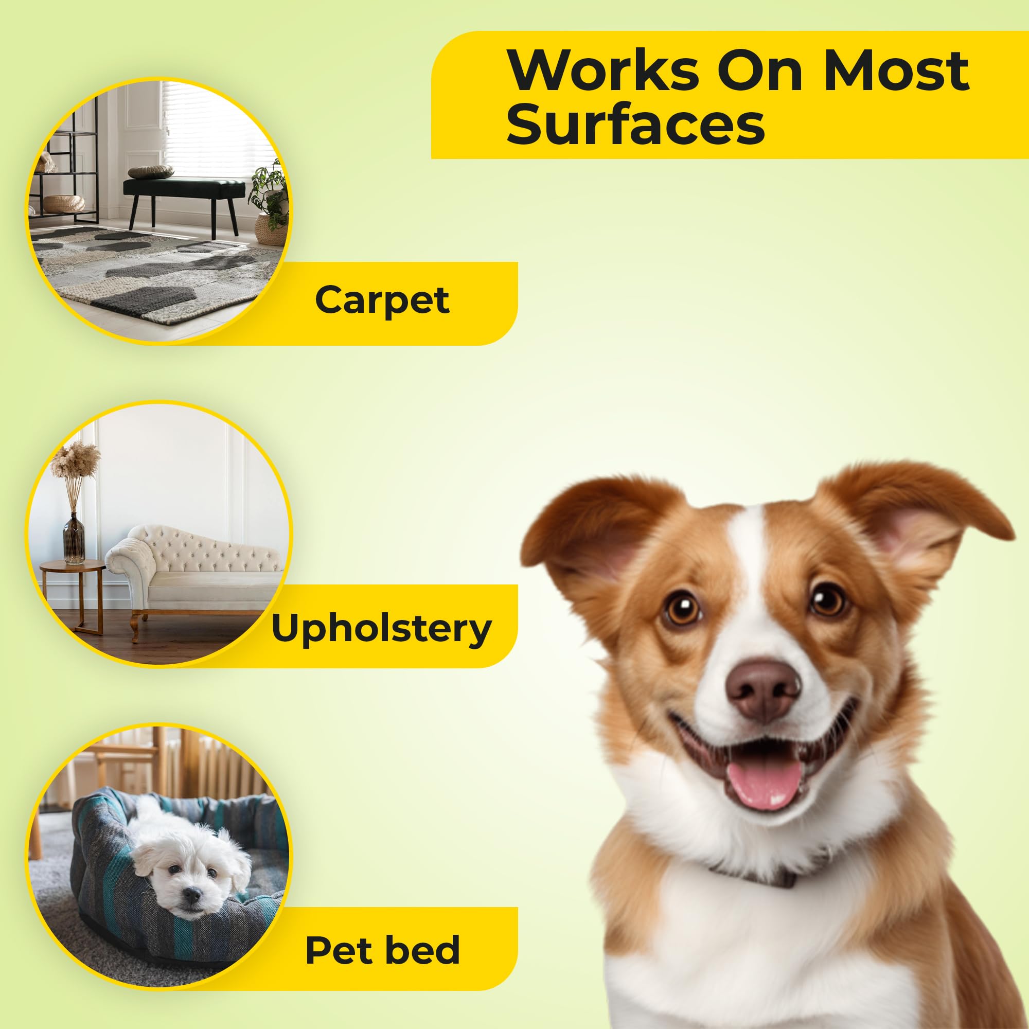 Aromasong Carpet Deodorizer Bundle – Citrus 48 oz & Lavender 48 oz, Natural Carpet Freshener, Odor Eliminator for Pets & Home, Long-Lasting Freshness, Safe for Kids & Pets