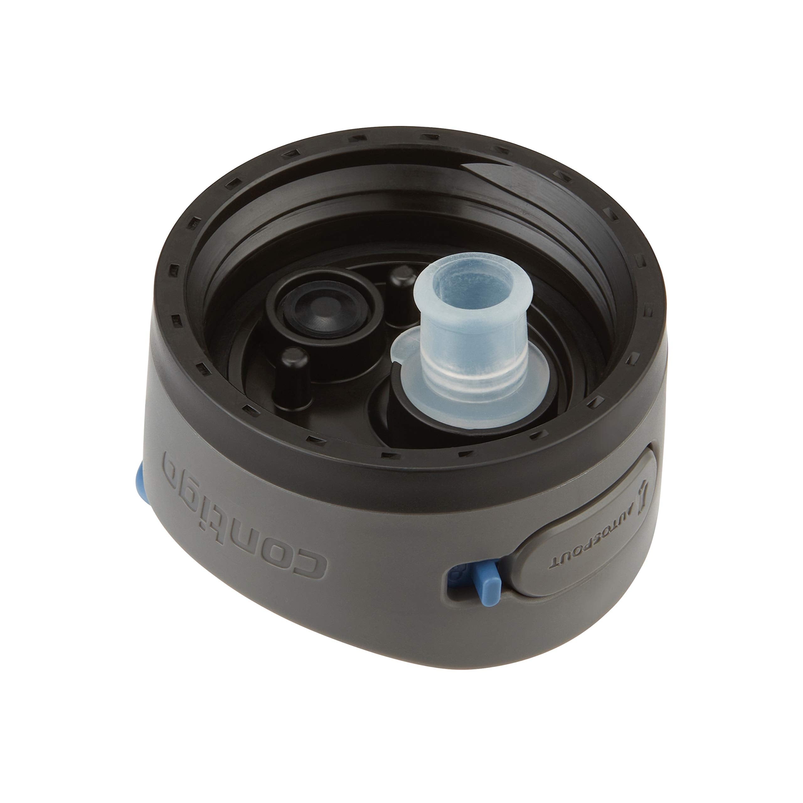 Contigo Ashland 2.0 Water Bottle with AUTOSPOUT Lid 24oz. Blue Corn