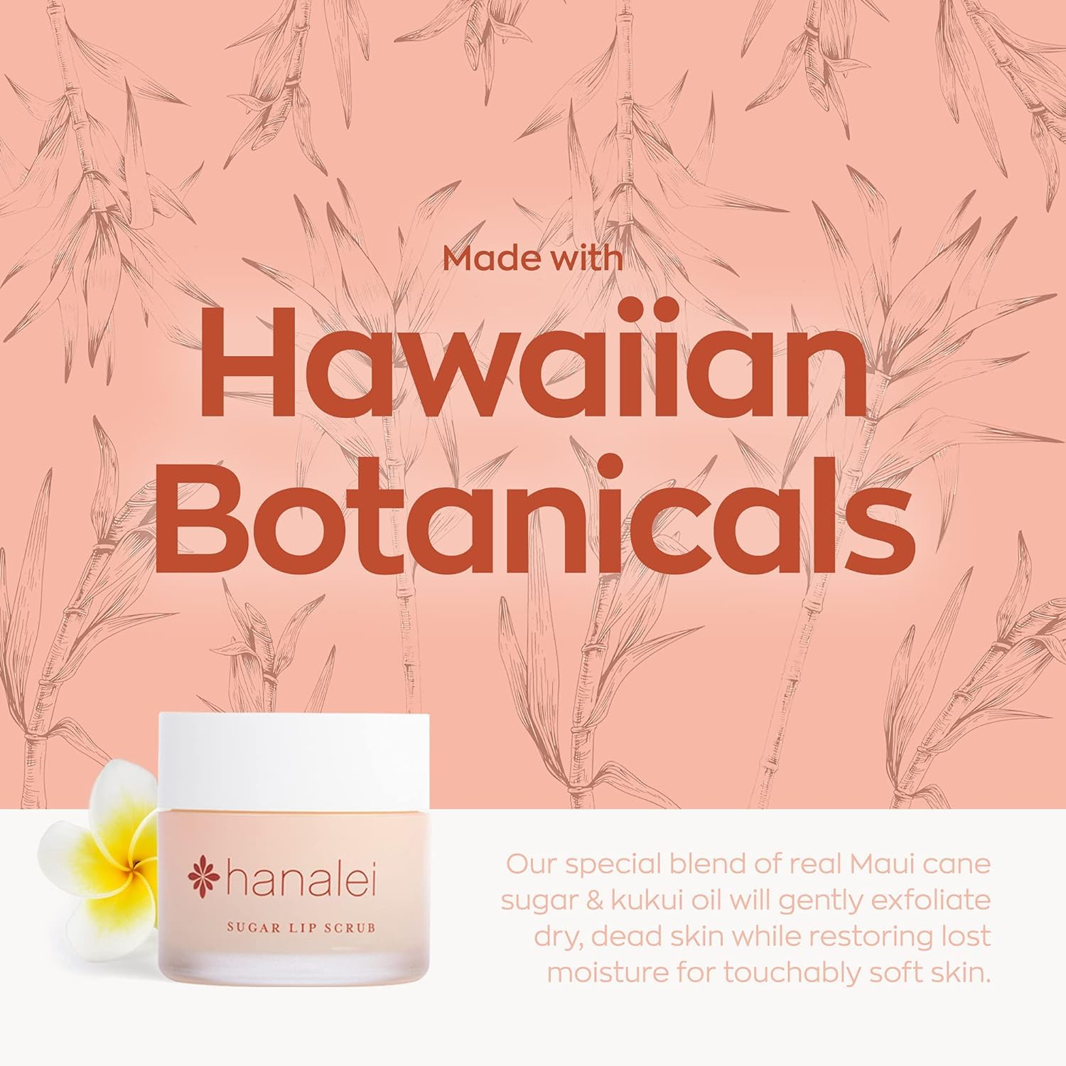 Hanalei Vegan Sugar Lip Scrub Exfoliator - Hawaiian Cane Sugar, Kukui Oil & Shea Butter for Smooth, Hydrated Lips - Natural, Cruelty-Free Lip Care, Removes Dry Skin, Moisturizes & Softens (22g)