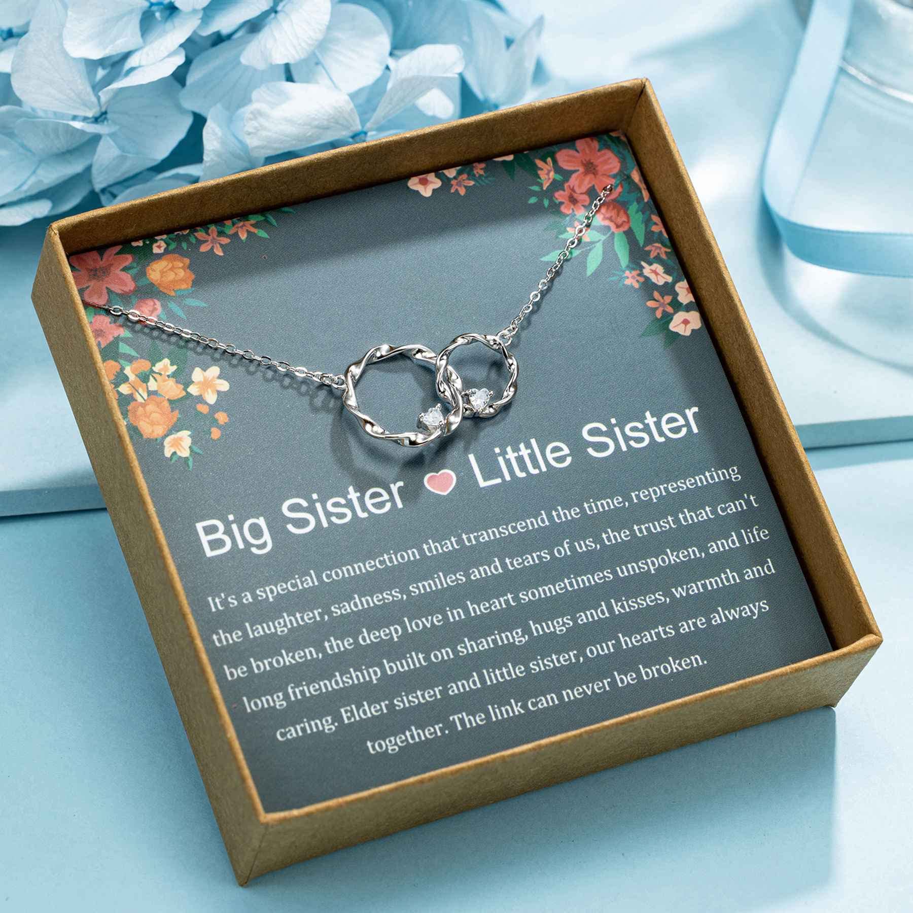 AnalysisyLove Sister Gifts, Sterling Silver Interlocking 2 Circles Necklace Gifts for Sisters, Big Sister Little Sister Gift, Sister Birthday Gifts from Sister