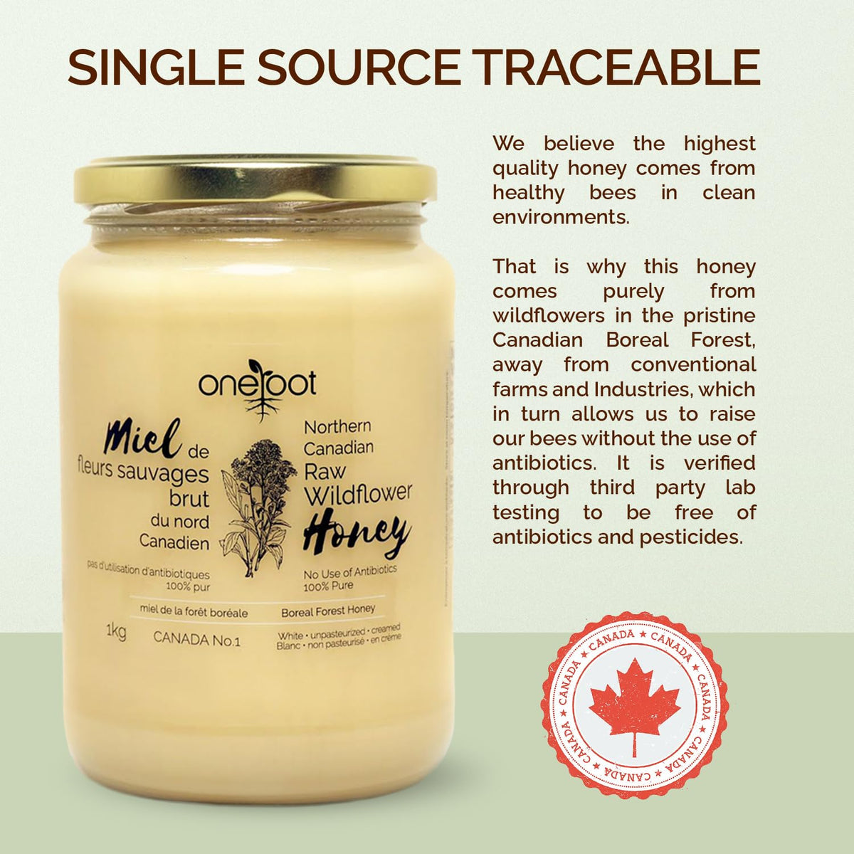 Oneroot 100% Canadian Flower Honey - 1kg / 2.2lbs, Honey Wildflower Unfiltered, Unheated & Creamed, Nutrient Rich Raw Wildflower Honey With Enzymes, Thick Natural Sweetener