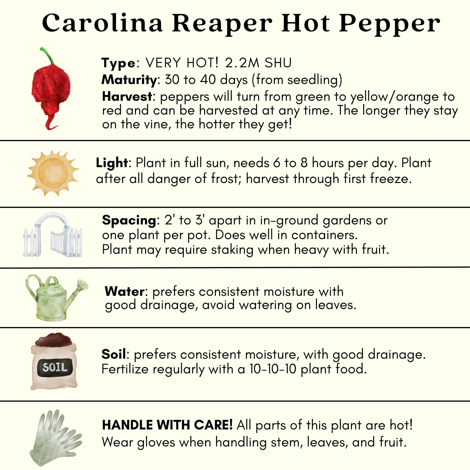 Clovers Garden Carolina Reaper Pepper Plant - Non-GMO - Not Seeds - Each 4" to 8" Tall – in 4" Inch Pots - World's Hottest Pepper - 2.2 Million SHU