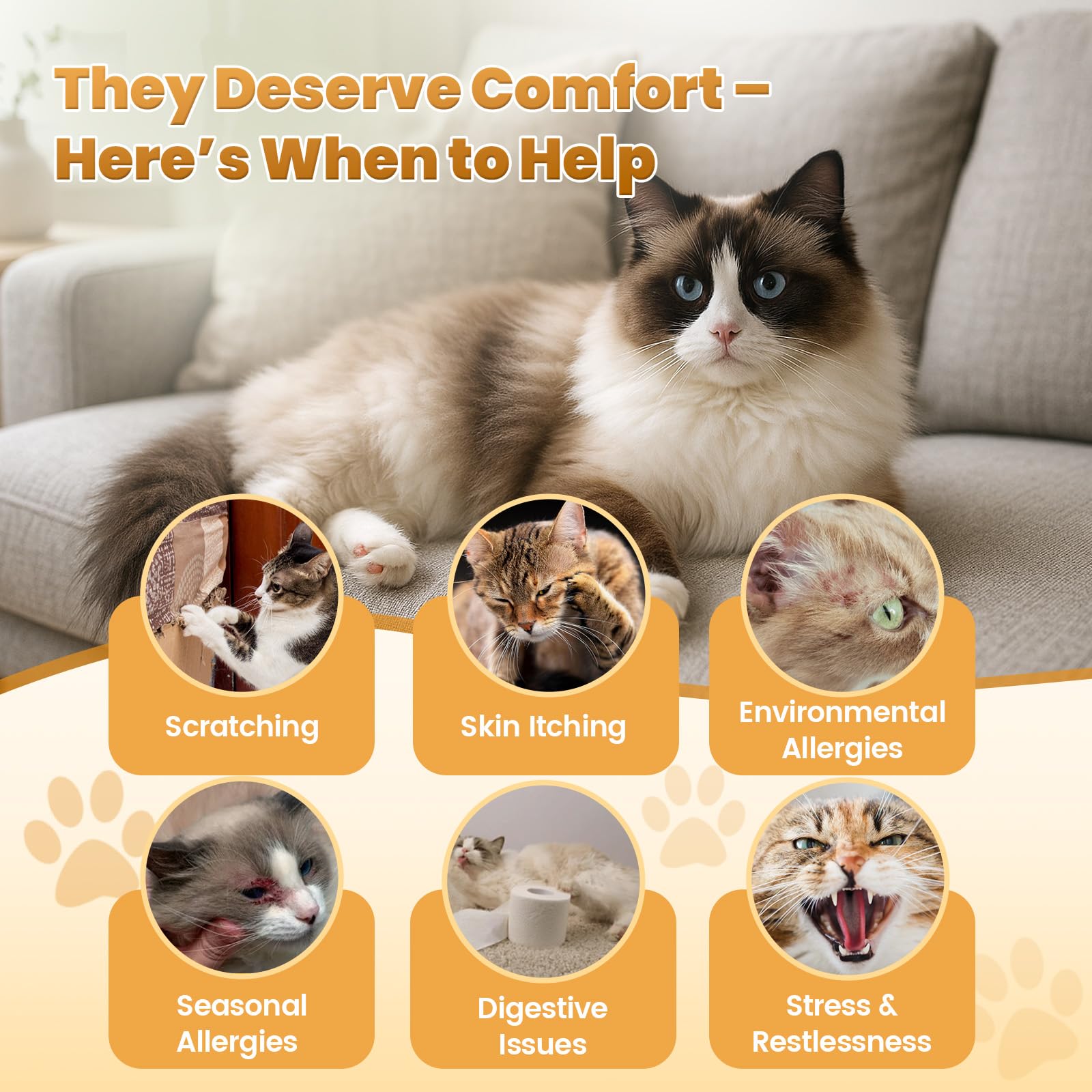 Cudory Chews for Cats Bundle-Allergy Relief for Cats+Cat Probiotics Tasty Chews for Digestive & Gut Support-Omega 3 & Probiotic Natural Cat Supplements-Chicken