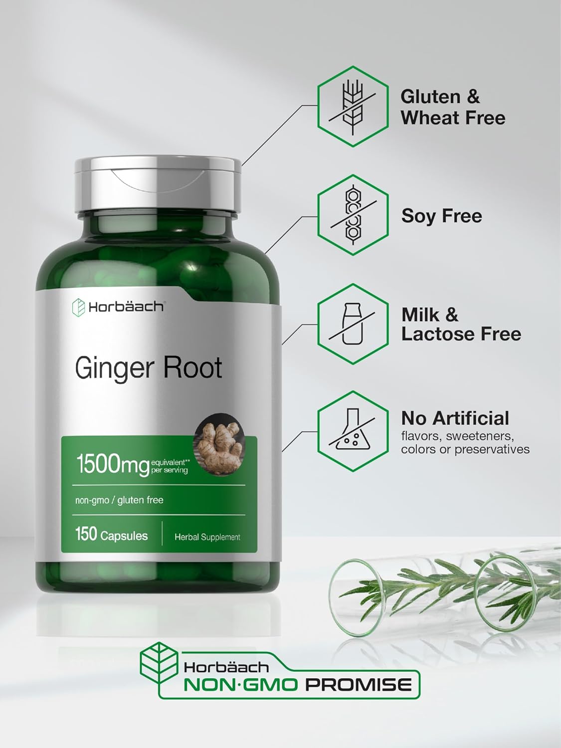 Ginger Root Capsules 1500 mg | 150 Pills | DNA Tested, Non-GMO, Gluten Free | Ginger Root Extract | by Horbaach