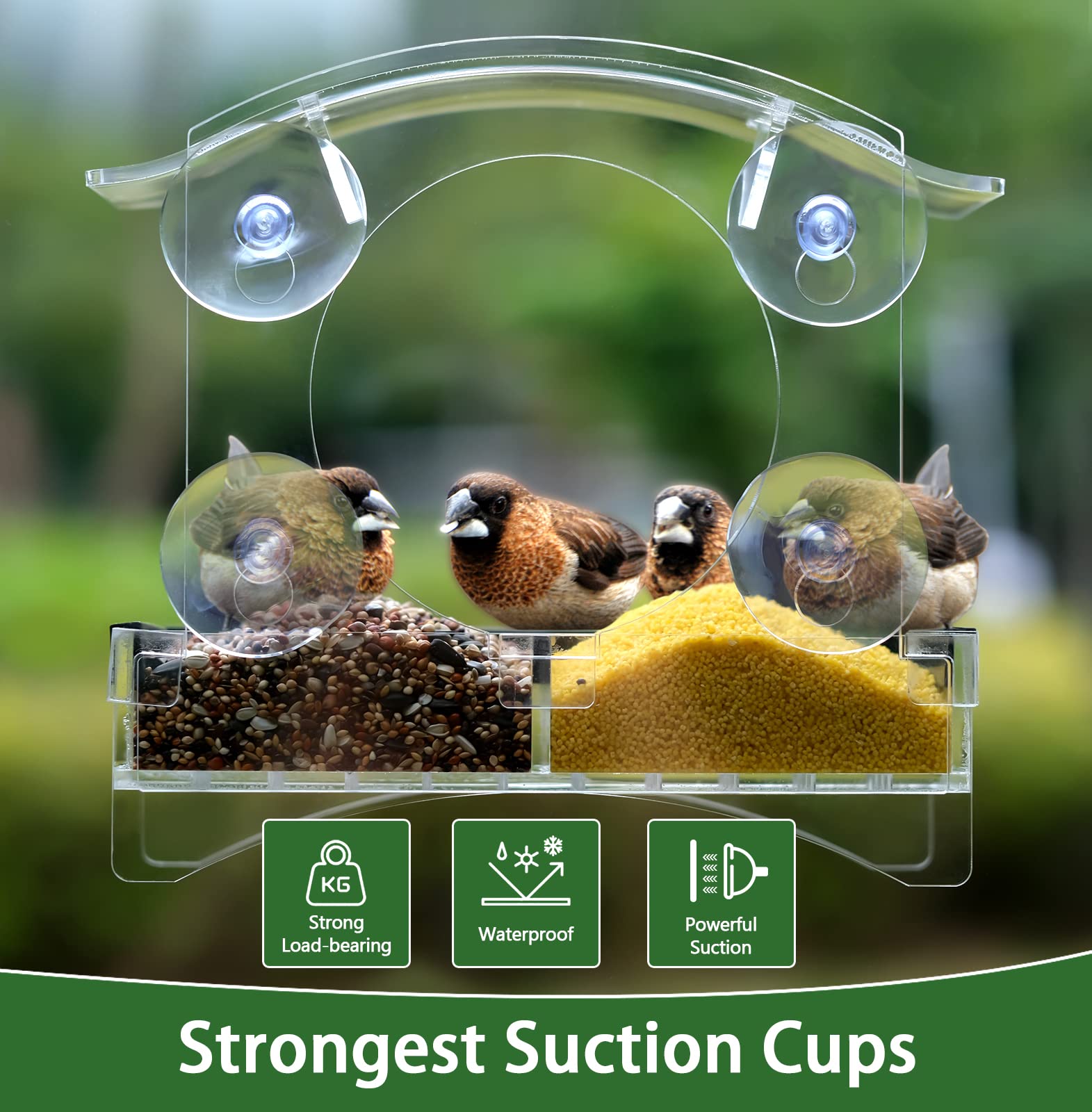 Window Bird Feeder with Strong Suction Cups - Transparent Bird House for Cat, Kids & Elderly Viewing - Polyurethane