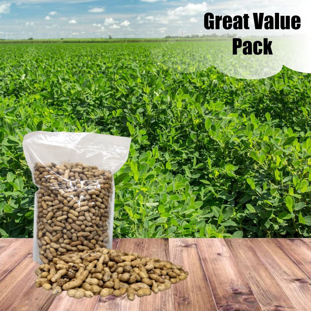 Old Potters Wildlife in-Shell Peanuts for Birds, Squirrels and Wildlife. USA Grown Non-GMO Raw in-Shell Peanuts (in-Shell, 8 lbs)