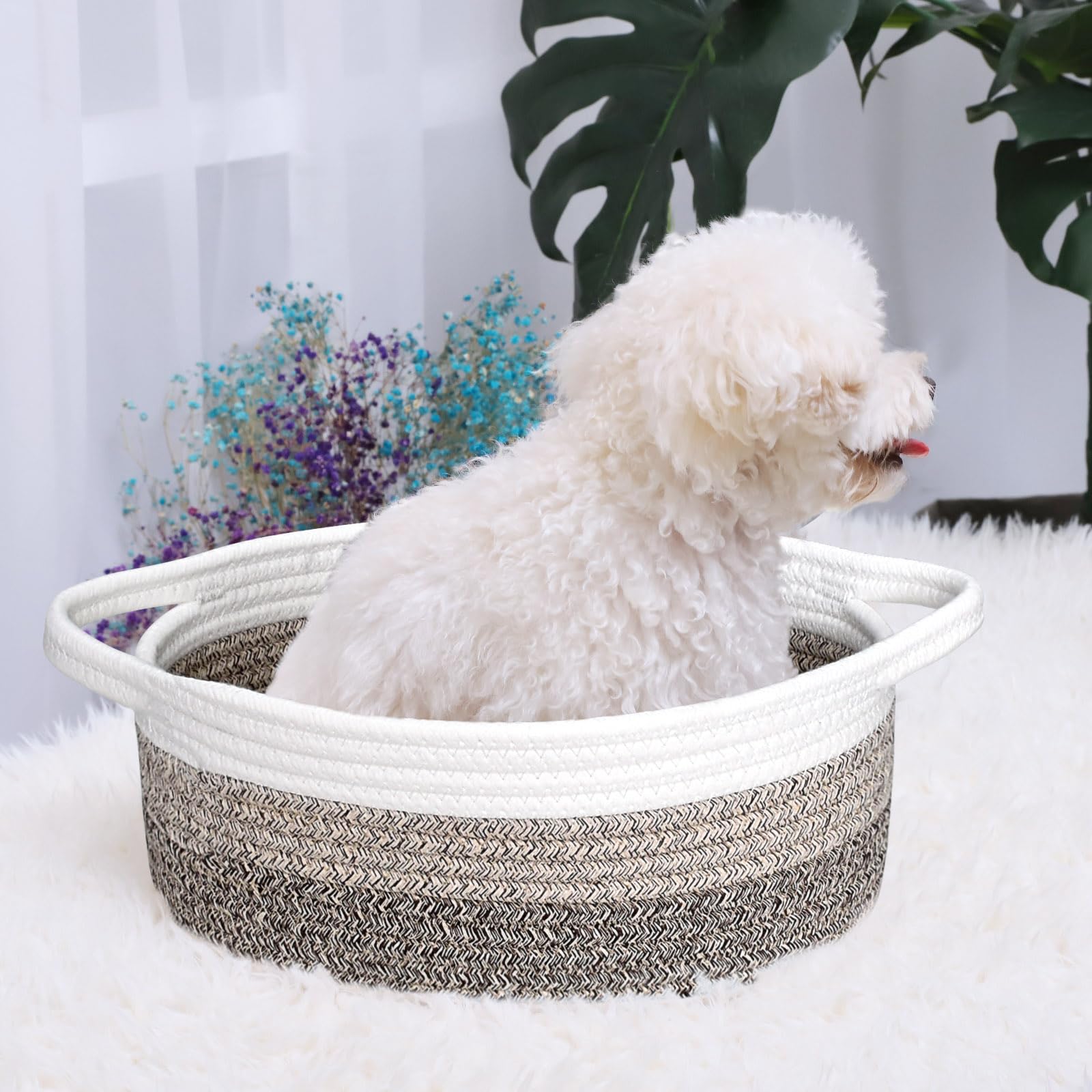 ABenkle Small Woven Basket, 12"x 8" x 5" Cute Small Basket, Rope Room Shelf Storage Basket, Cat Dog Toys Basket Chest Box, Empty Decorative Gift Basket with Handles - White & Mixed Brown & Dark Brown