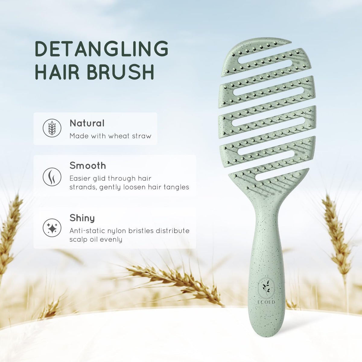Ecoed Degradable Vented Hair brush,Detangling Brush,Detangler Brush for Curly, Thick, and Straight Hair, Dry and Wet Detangling Quickly Detangles and Smooths hair,Hair Brush for Women and Men