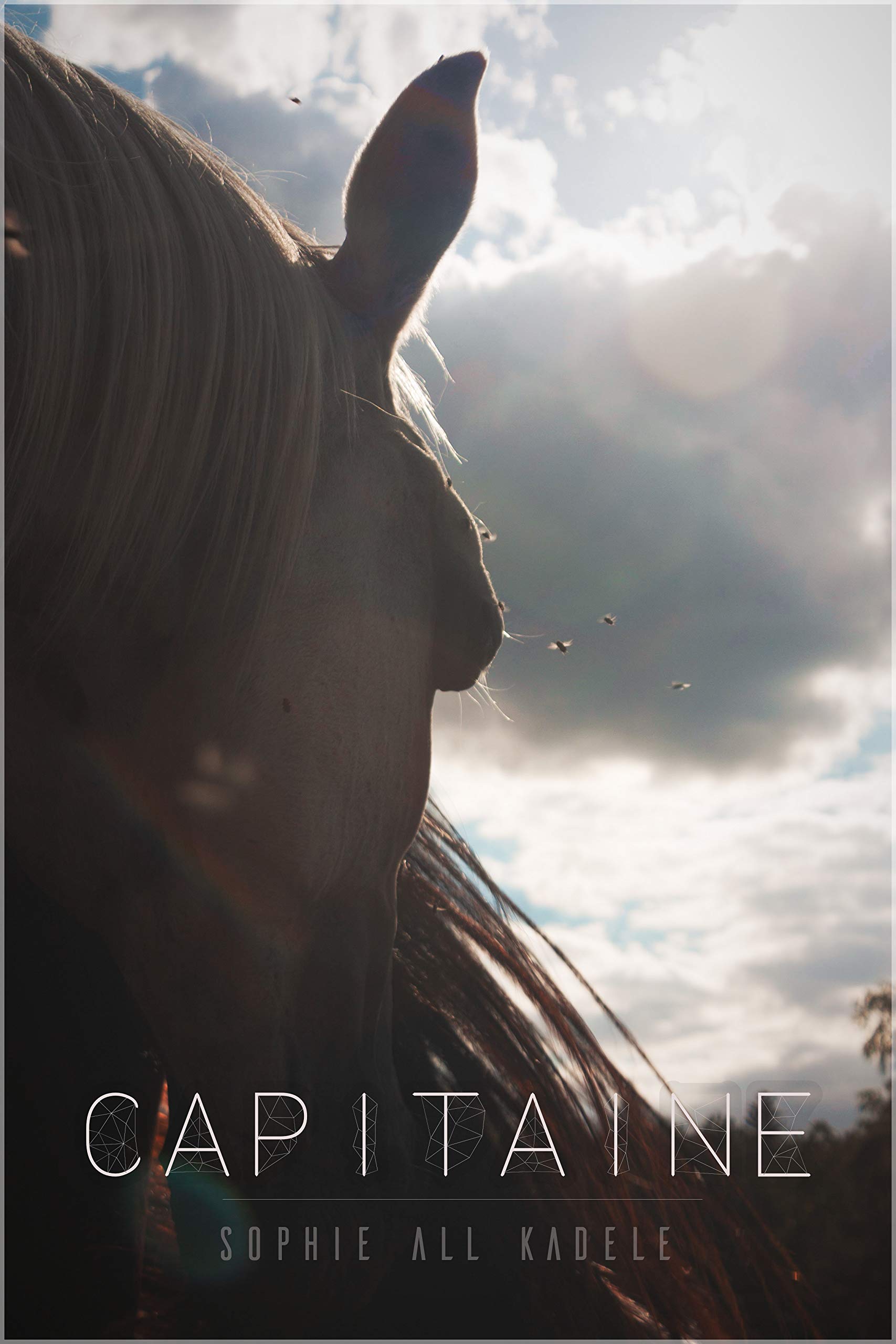 Capitaine: Nouvelle (French Edition)
