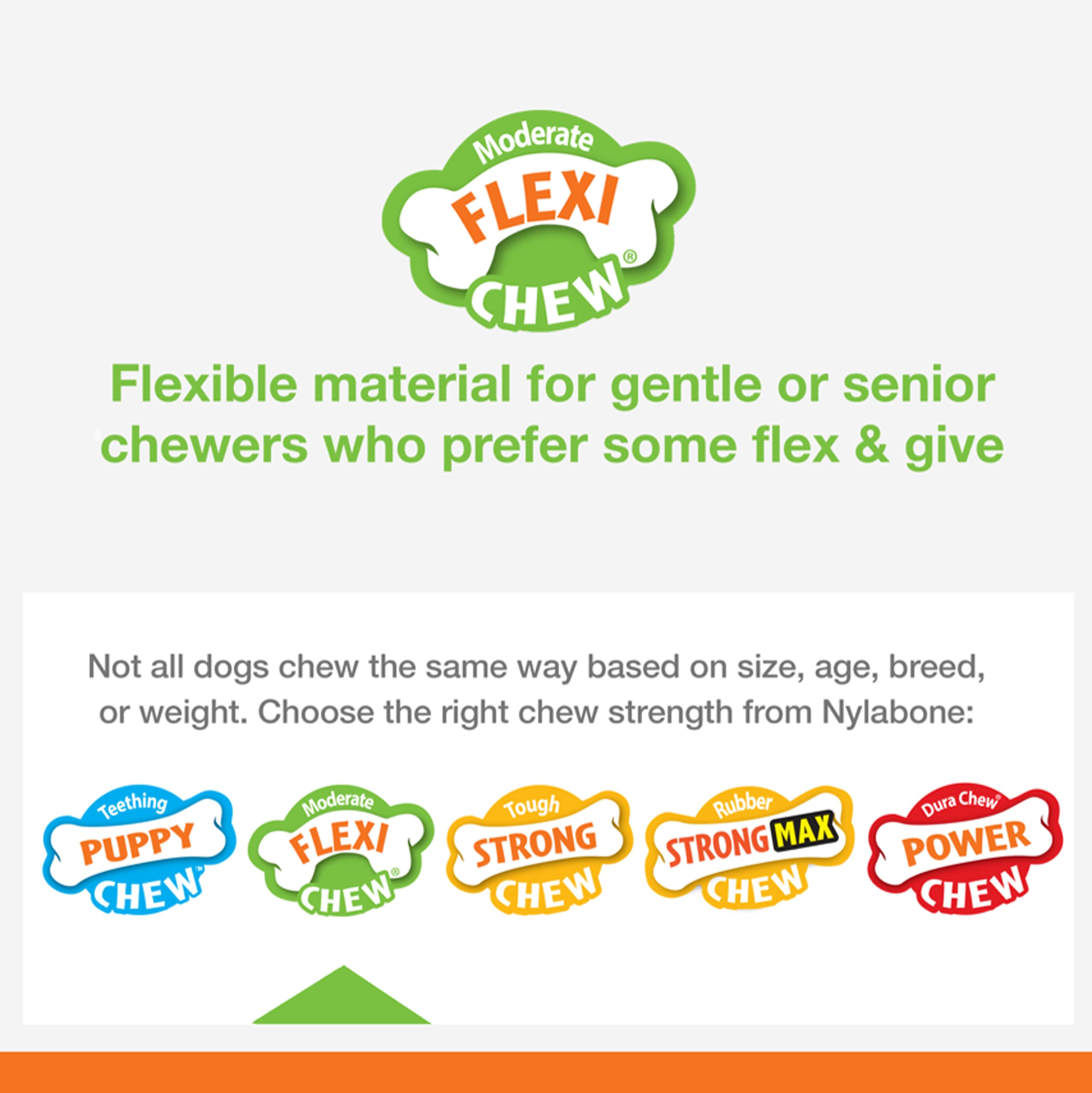 Nylabone Moderate Chew Flexi Chew Bone Peanut Butter & Bacon XX-Small/Tiny (2 Count)