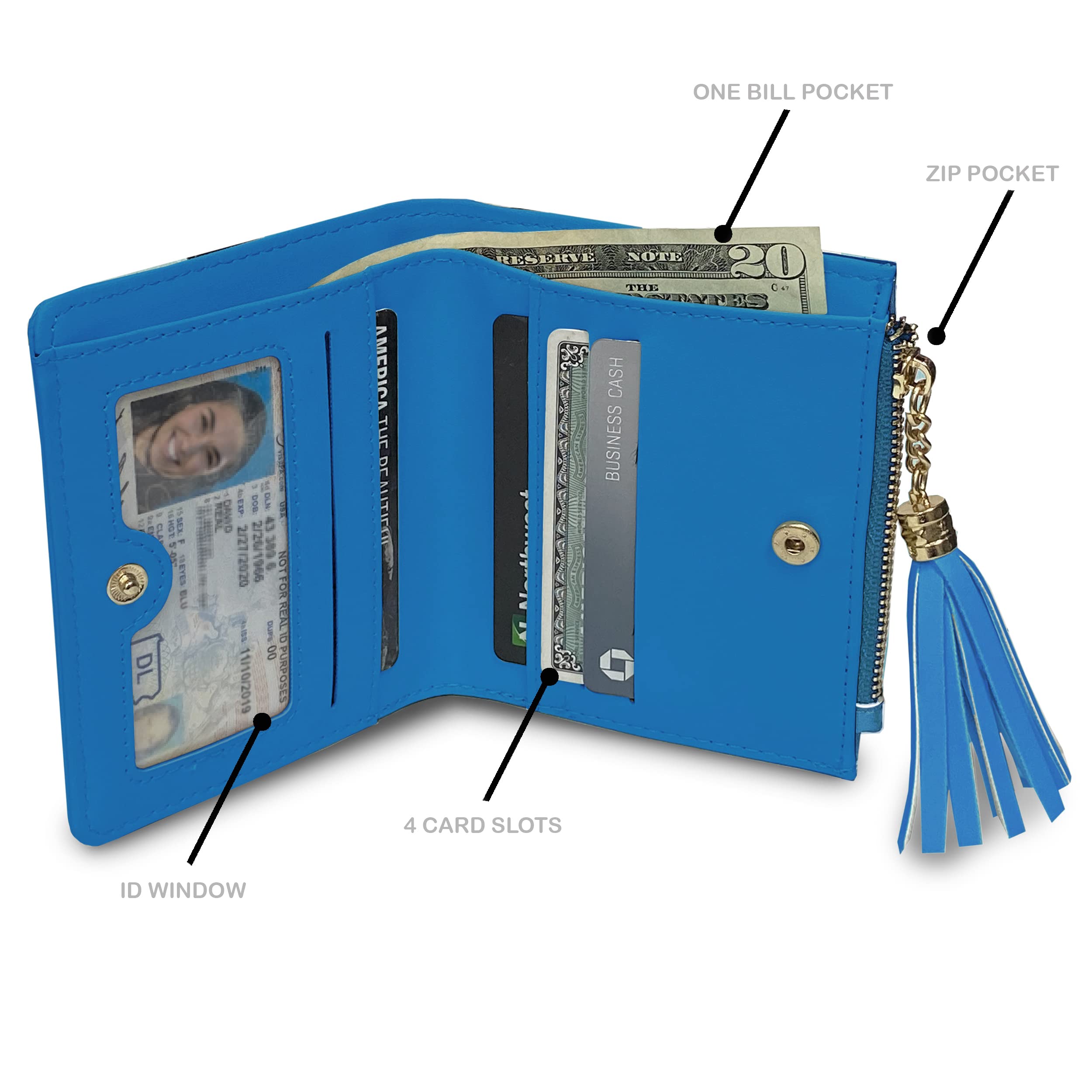 Littlearth Carolina Panthers NFL Mini Organizer