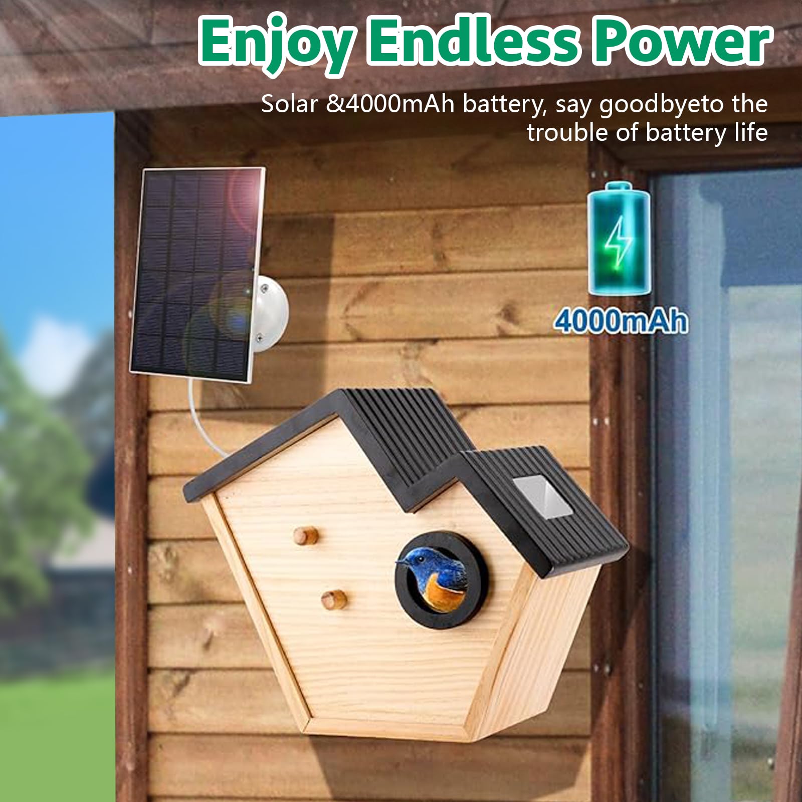Bird House Feeder with Camera, Outdoor Waterproof Solar Powered, 2K HD Camera AI Recognition for Over 10,000 Species, Real-time Videos & Pictures, a for Bird Lovers (Green)