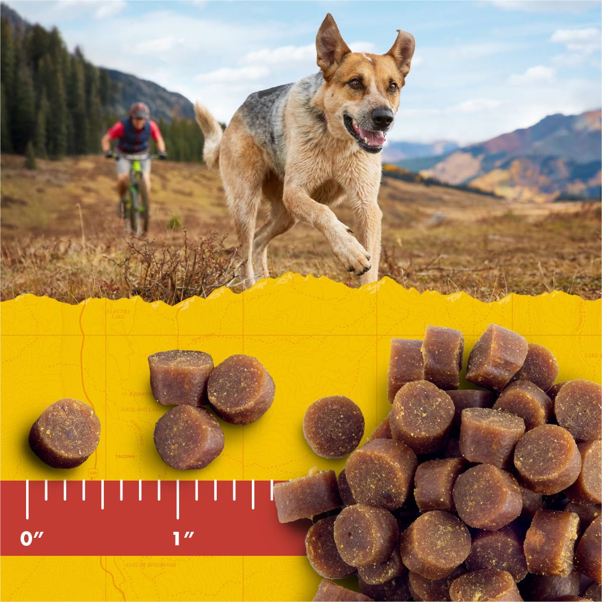 Zuke’s Mini Naturals Soft And Chewy Dog Treats For Training Pouch, Natural Treat Bites With Salmon Recipe - 6 oz. Bag