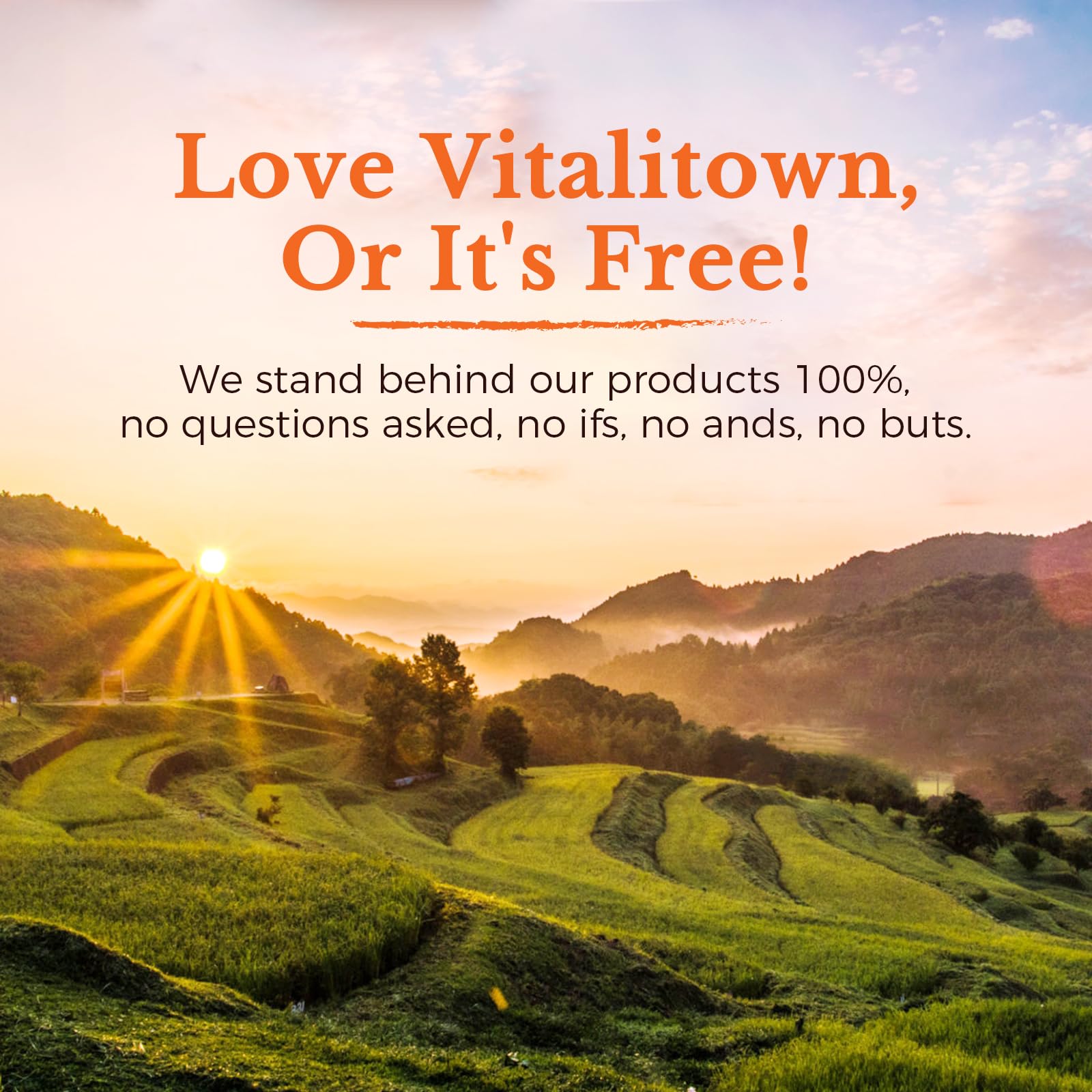 Vitalitown Vitamin D3 K2 Supplement, Vitamin D3 10000 IU Vitamin K2 (MK7) 200 mcg, 90 Softgels, Non-GMO, No Gluten & Soy, for Bone, Teeth, Immune & Heart Health