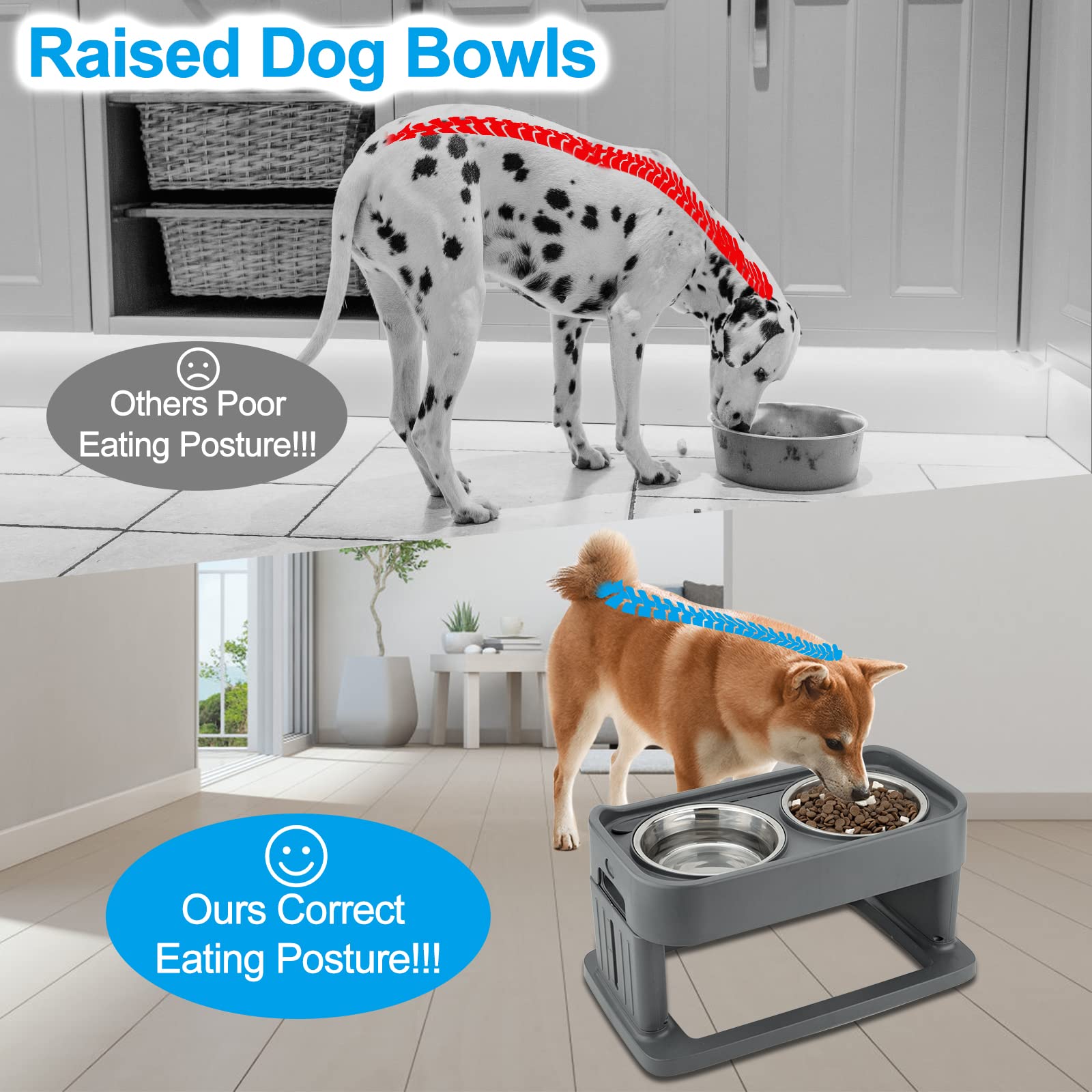 Hengu Elevated Dog Bowls,Adjustable Raised Dog Bowl Stand Adjusts to 4 Heights (2.8", 8.6", 10.6",11.8") for Small Medium and Large Dogs,with 2 Stainless Steel Dog Food Bowls