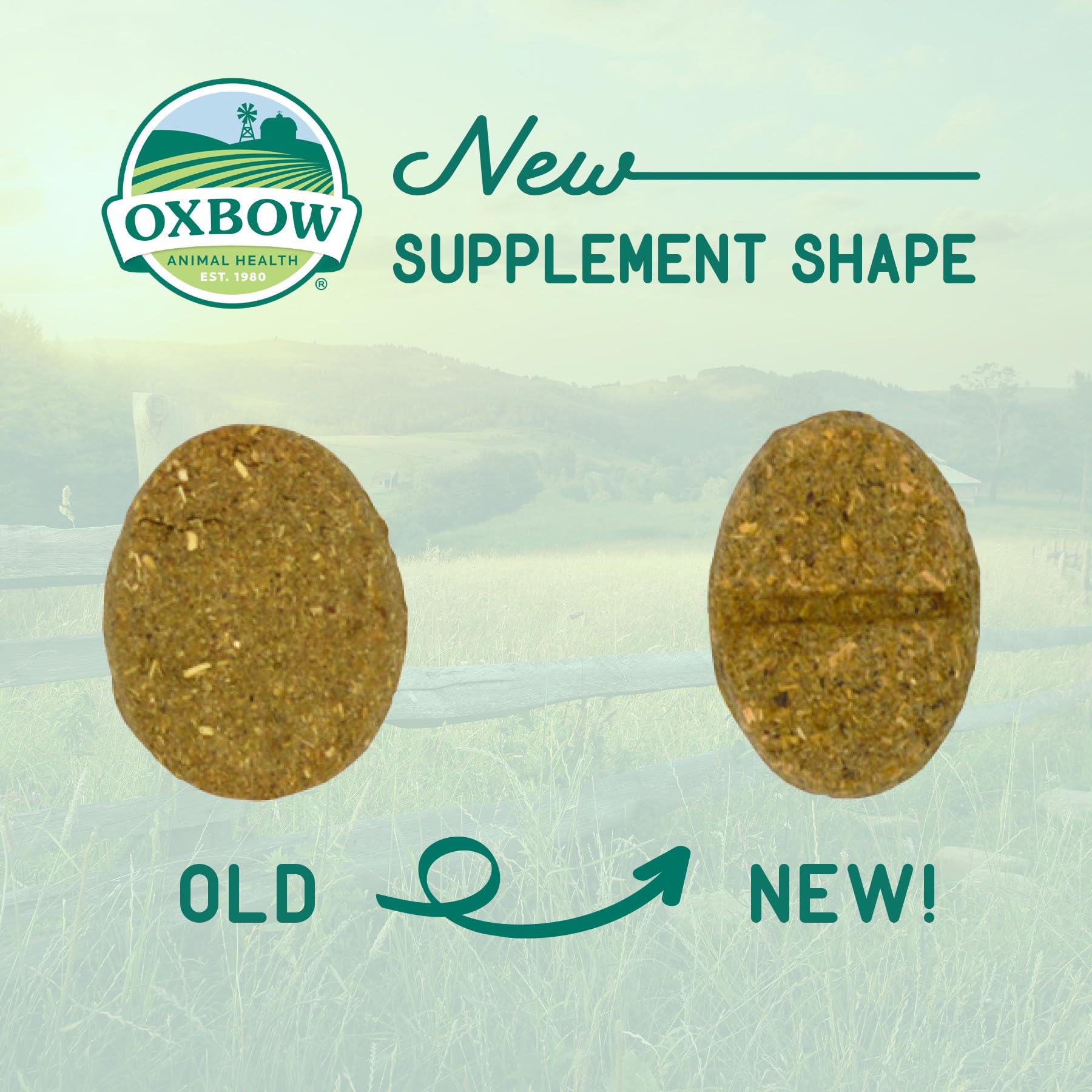 Oxbow Natural Science Skin & Coat Supplement - High Fiber, Palm Oil, Omega 3 and 6 Fatty Acids for Small Animals, 4.2 oz.