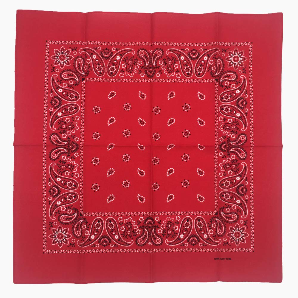 Vamqor 100% Cotton 10 Pack Fine Bandanas(Red)