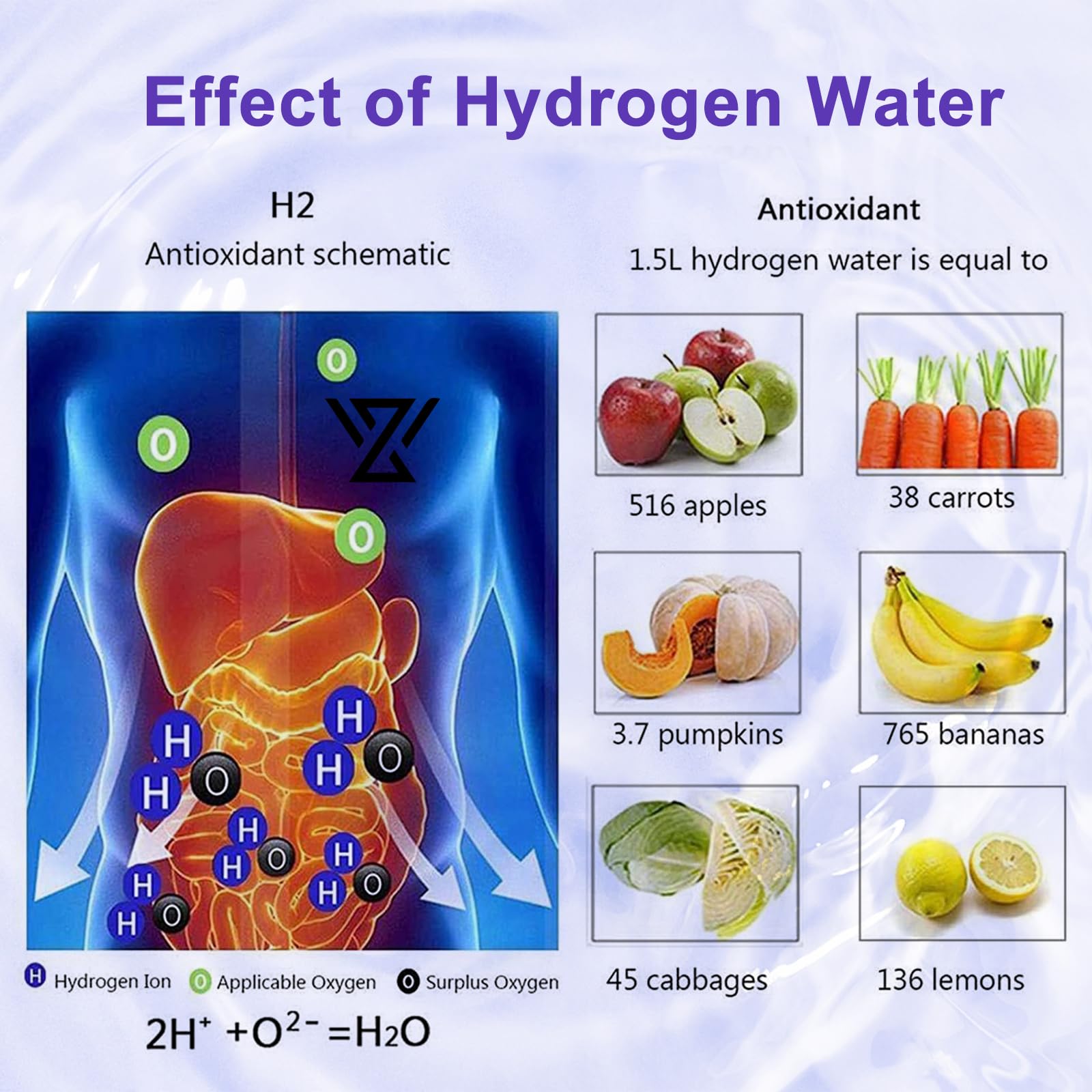 HomEnjoy Hydrogen Water Generator Bottle, SPE & PEM Technology, 14OZ Portable Rechargeable Hydrogen Water Ionizer Machine, for Home Office Gift Travel Fitness Daily Drinking