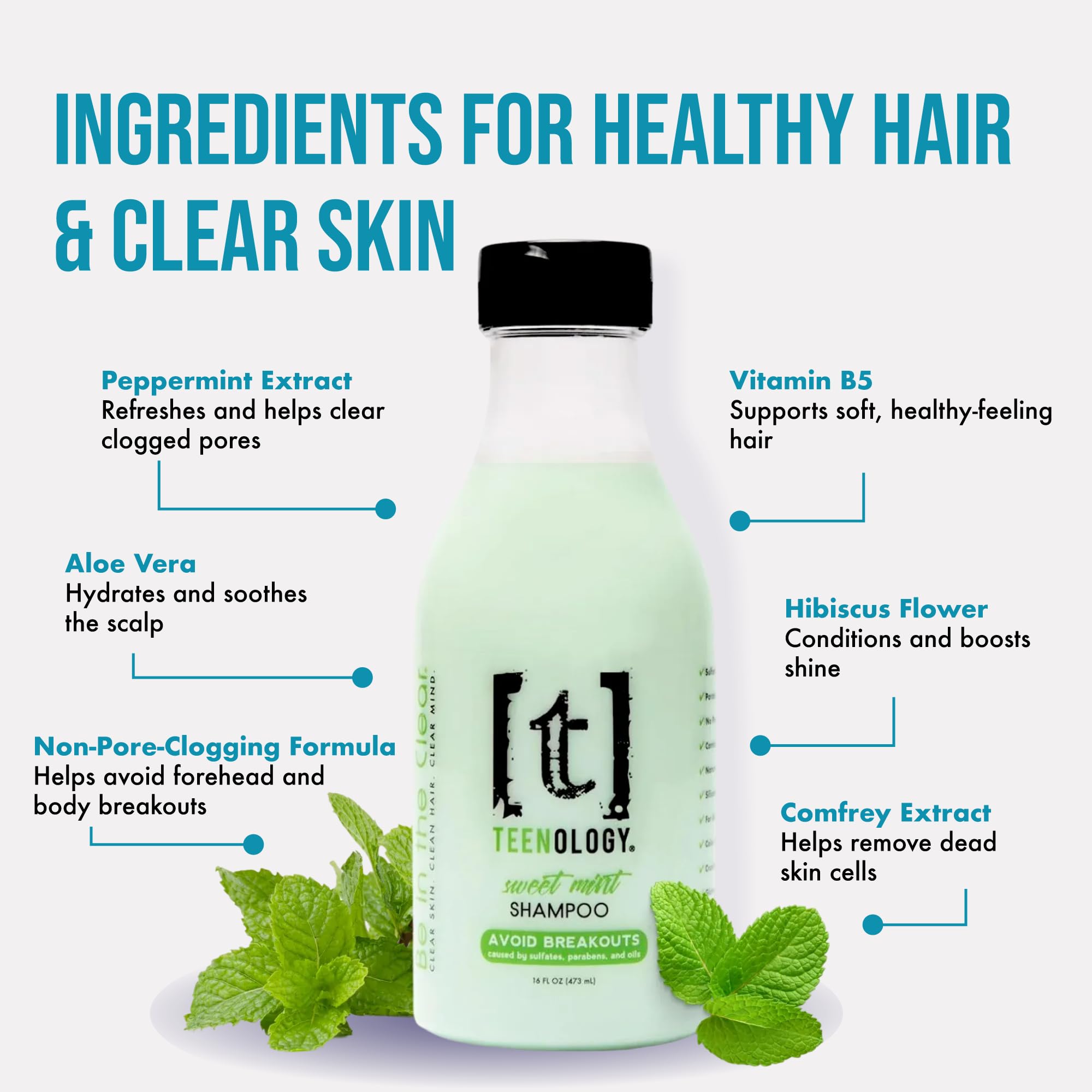 Teenology Shampoo for Teens - Avoid Forehead and Body Acne - No Sulfates or Parabens, Noncomedogenic, Natural Botanical Extracts, 16 oz. (Sweet Mint)