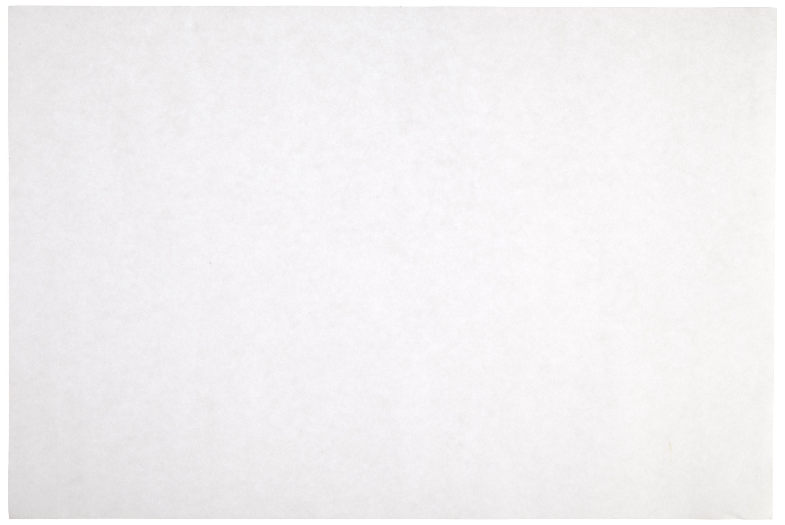 Sax Sulphite Drawing Paper, 80 lb, 9 x 12 Inches, Extra-White, Pack of 500 - 053943