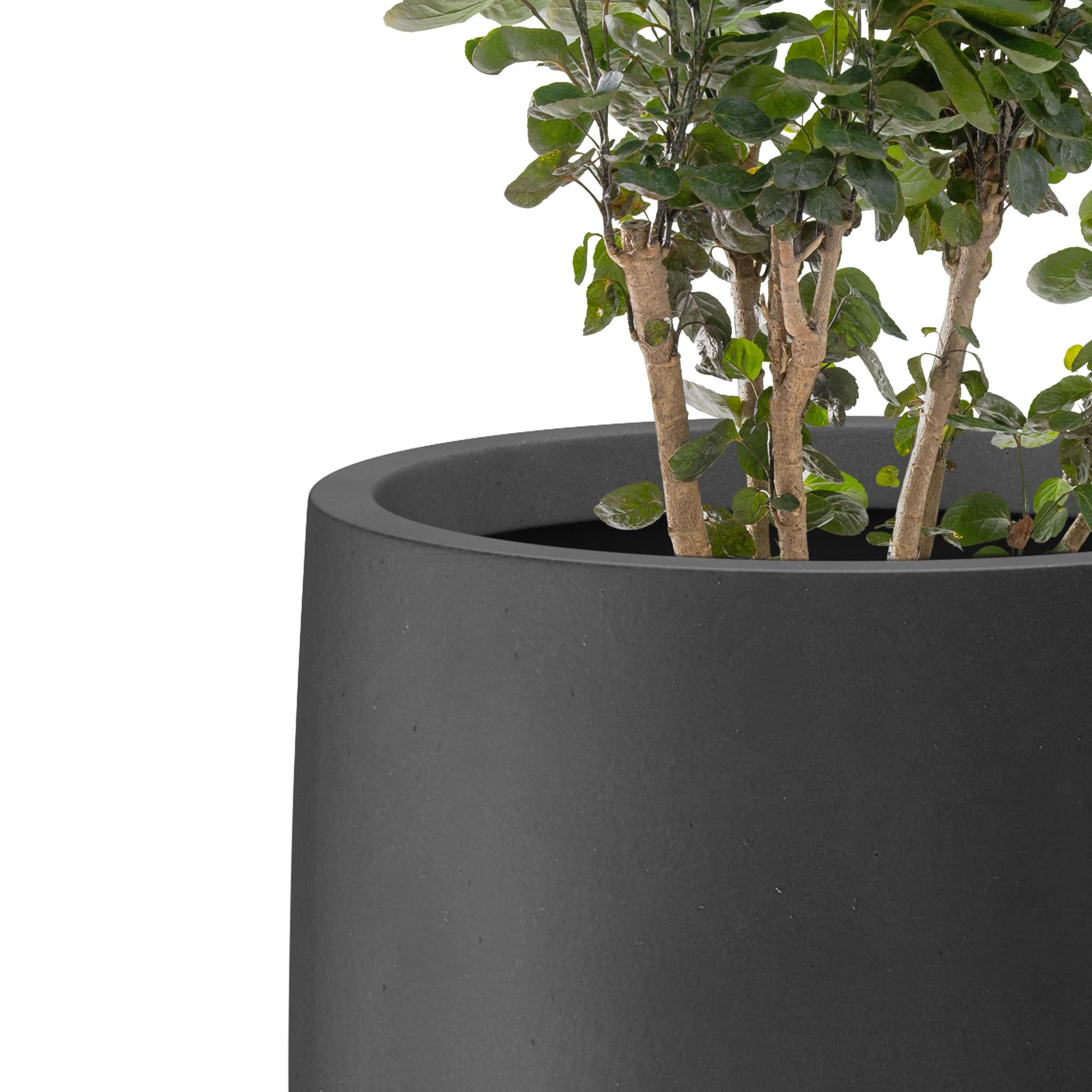 Kante 21.7" H Natural Concrete Tall Planter, Large Outdoor Indoor Decorative Pot with Drainage Hole and Rubber Plug, Modern Round Taper Style for Home and Patio Burnished Black