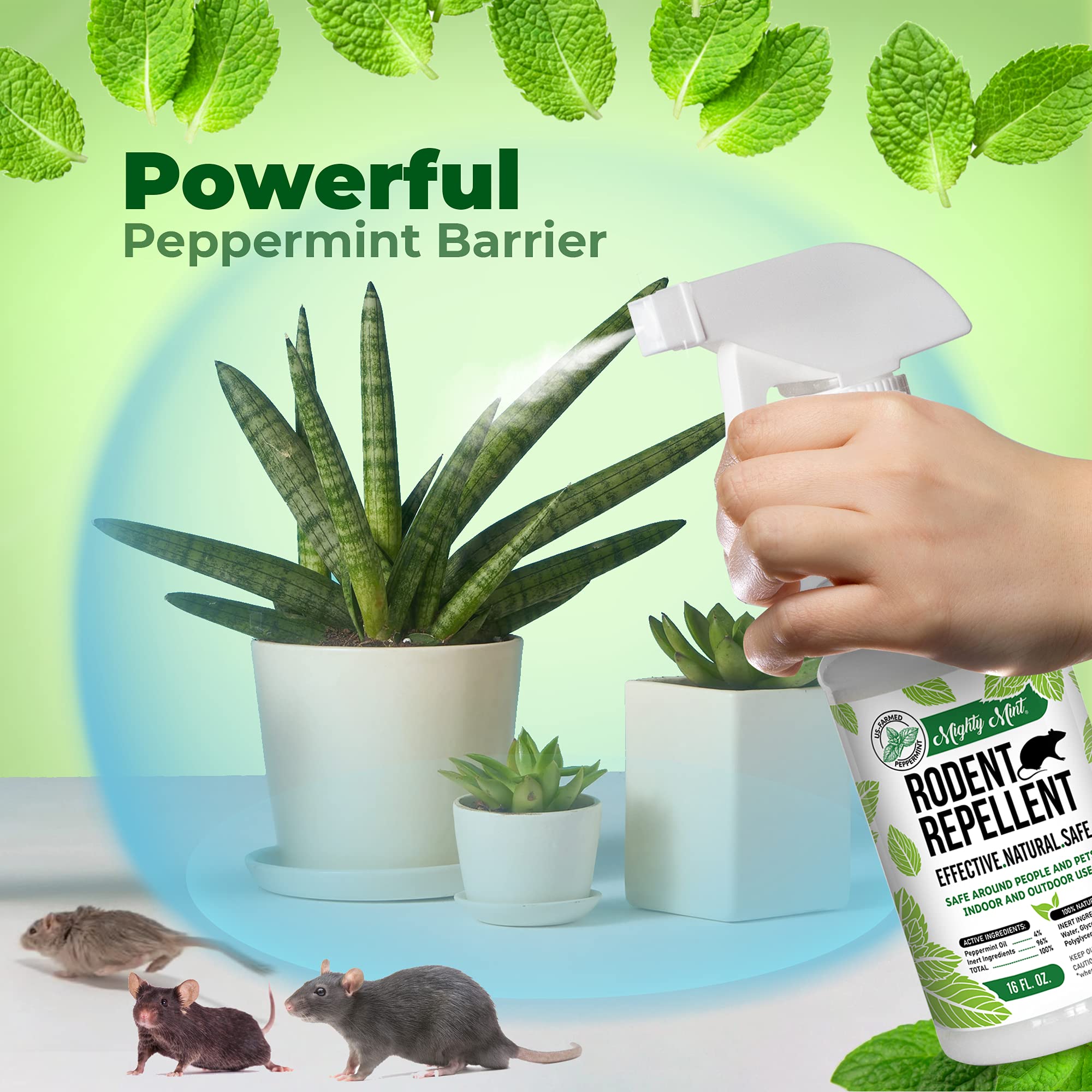 Mighty Mint Peppermint Oil Rodent Repellent Spray, for Indoor/Outdoor Use, 16oz