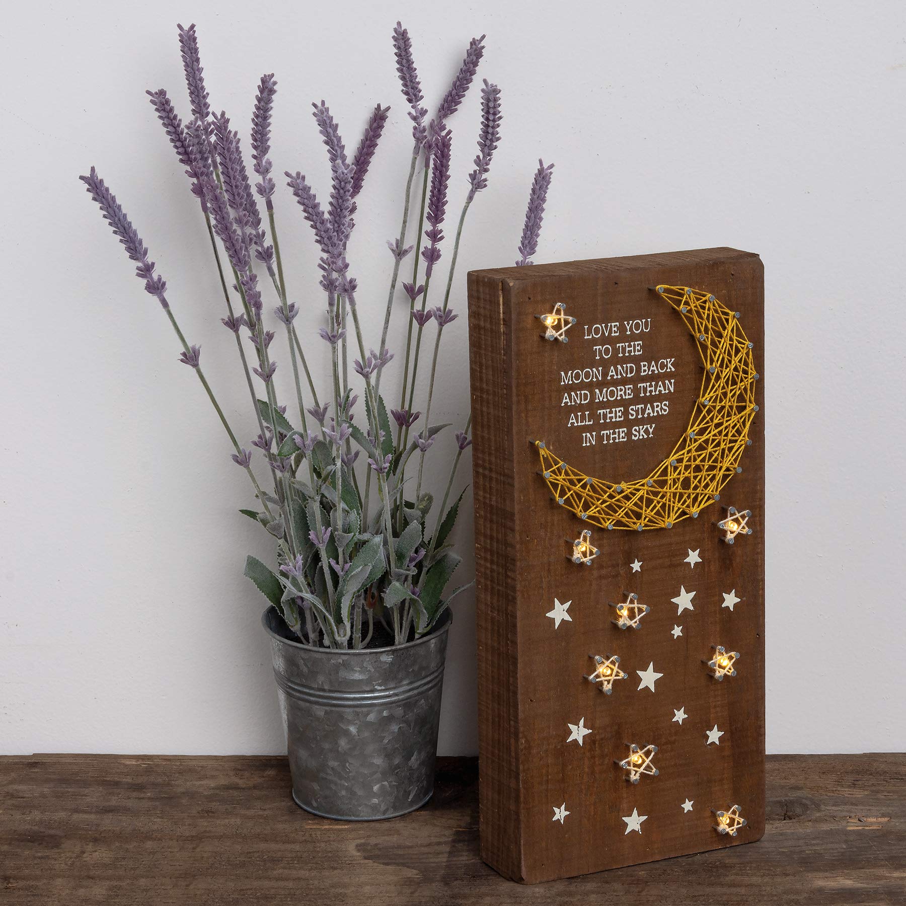 Primitives by Kathy Love You to The Moon and Back LED Lighted String Art Decorative Sign, 6 x 12.5-Inches