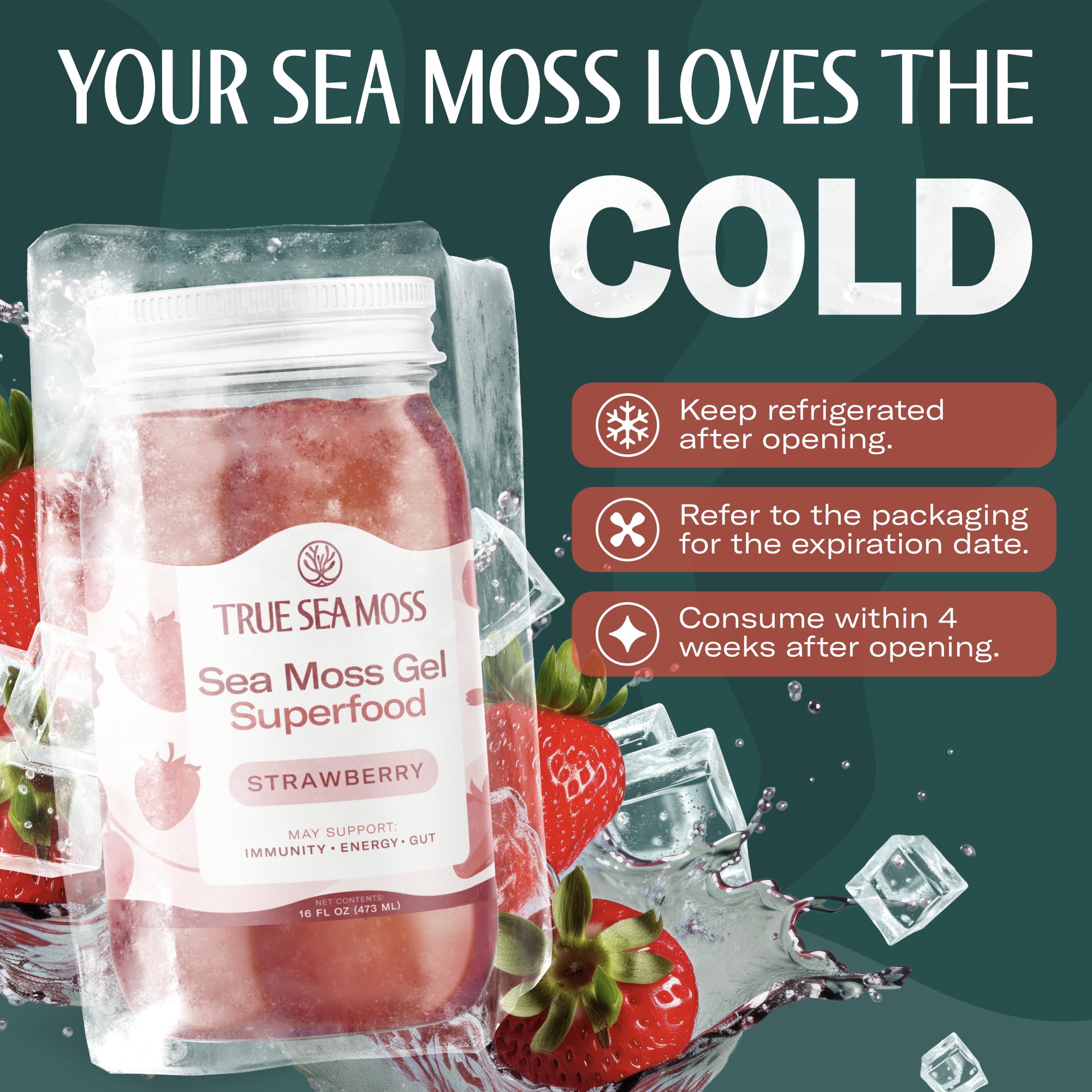 TrueSeaMoss Sea Moss Gel – Made in USA – Wildcrafted Seamoss, Fresh Fruits & Sea Vegetables – Strawberry, Pack of 1 (Labels may Vary)