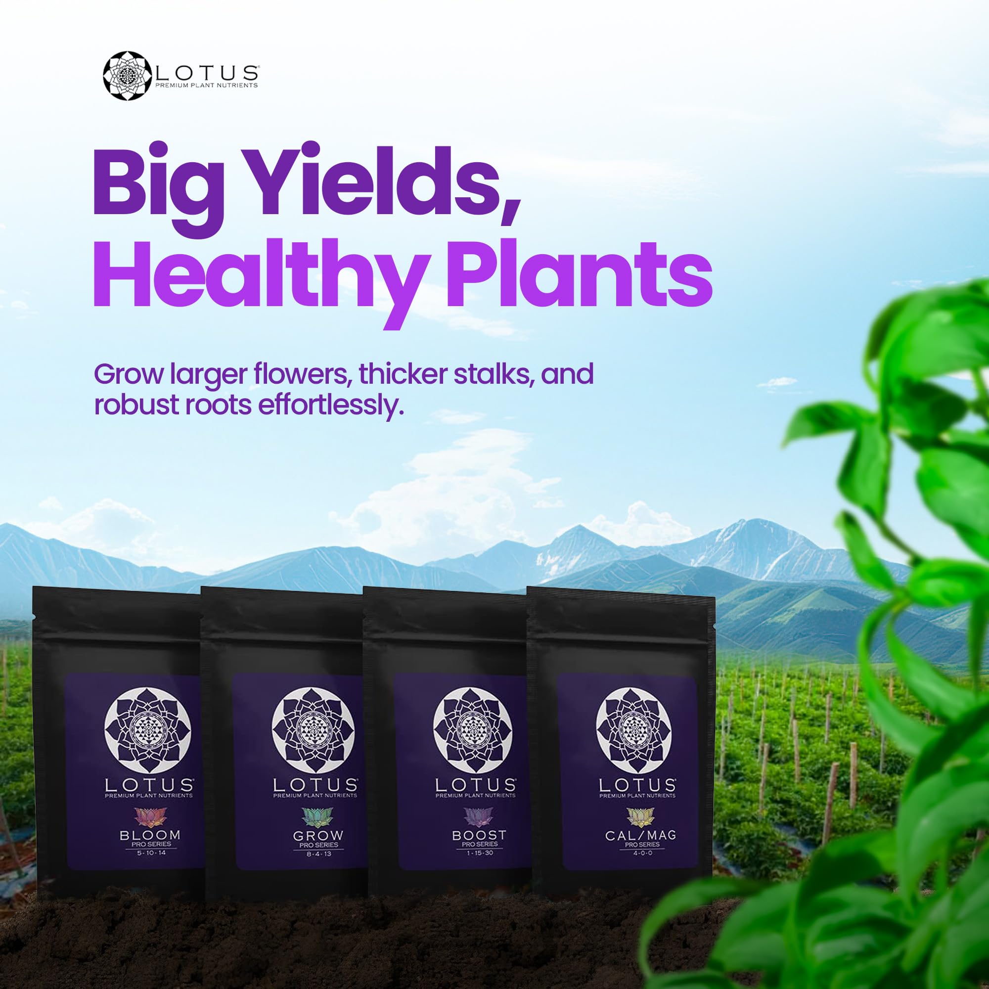 Lotus Nutrients - Pro Series - Powdered Plant Nutrients Intro Pack, Grow, Bloom, Boost, and Cal/Mag with Nitrogen Calcium and Magnesium for Hydroponics Coco Coir and Soil, Indoor and Outdoor Plants