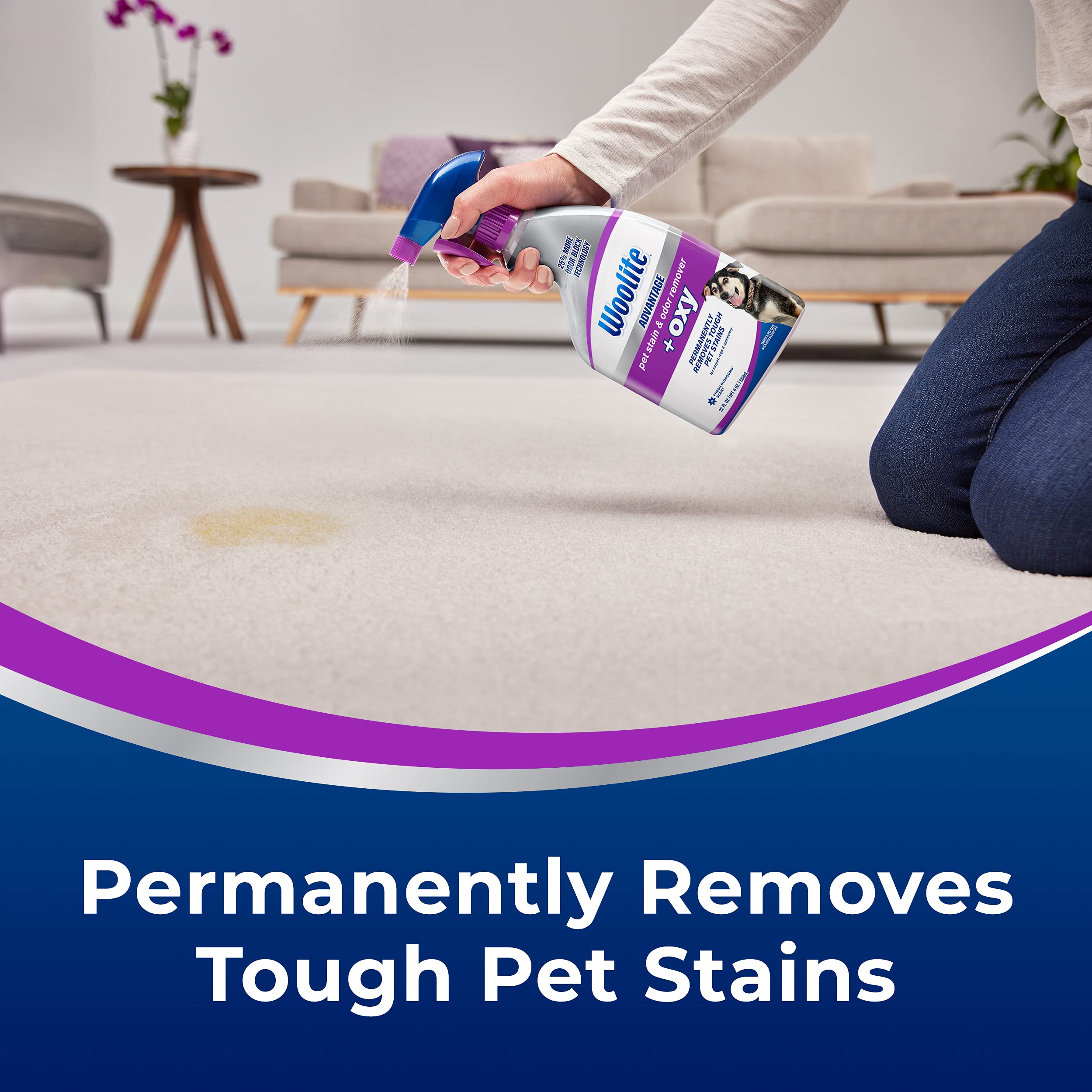 Bissell Woolite® Advantage Pet Stain & Odor Remover + Oxy, 2-Pack, 3326